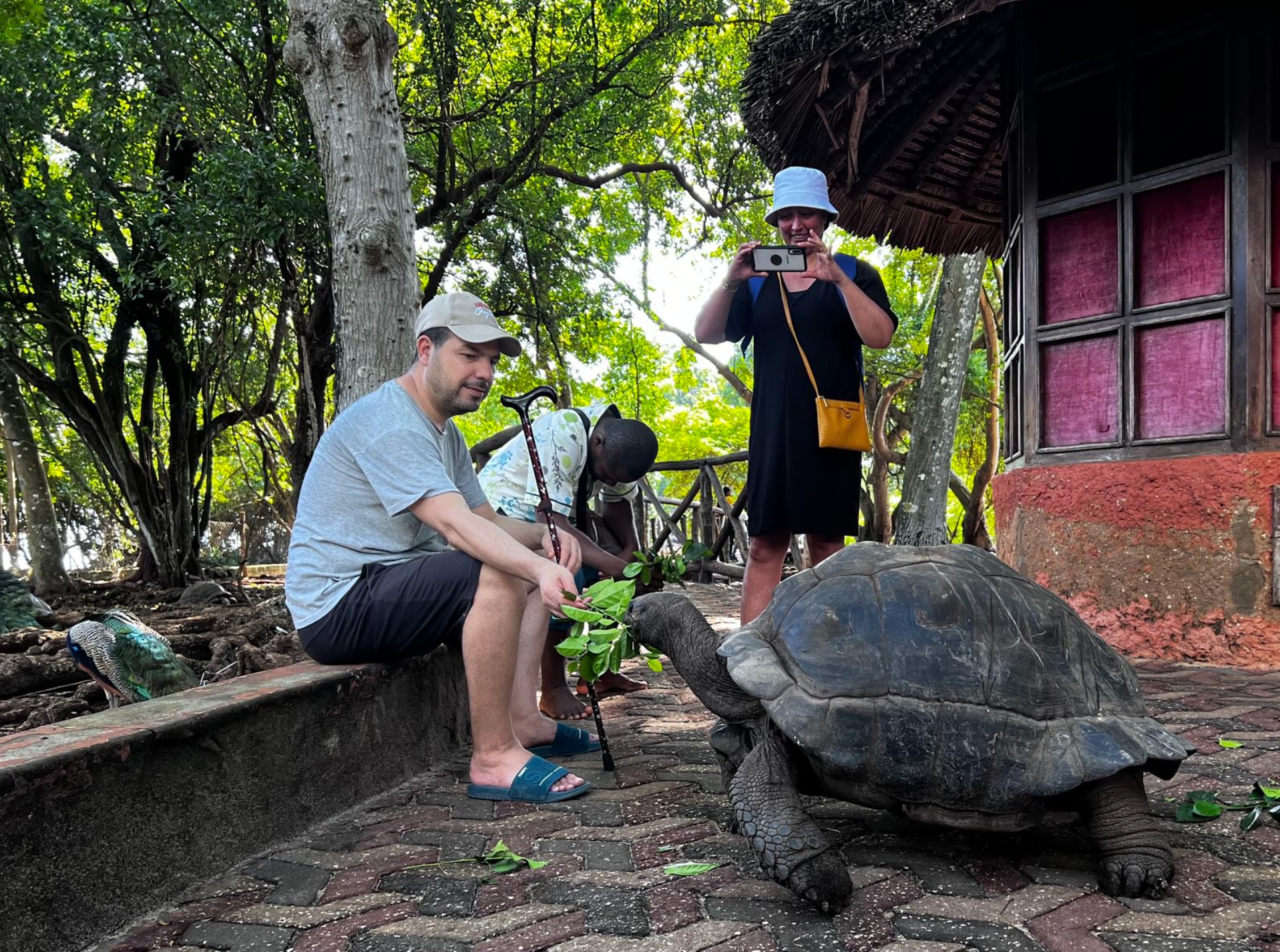 海南陵水乐天归心居 和世界级大乌龟做朋友1/2日游（亲子体验+陆龟农庄＋动物互动乐园）