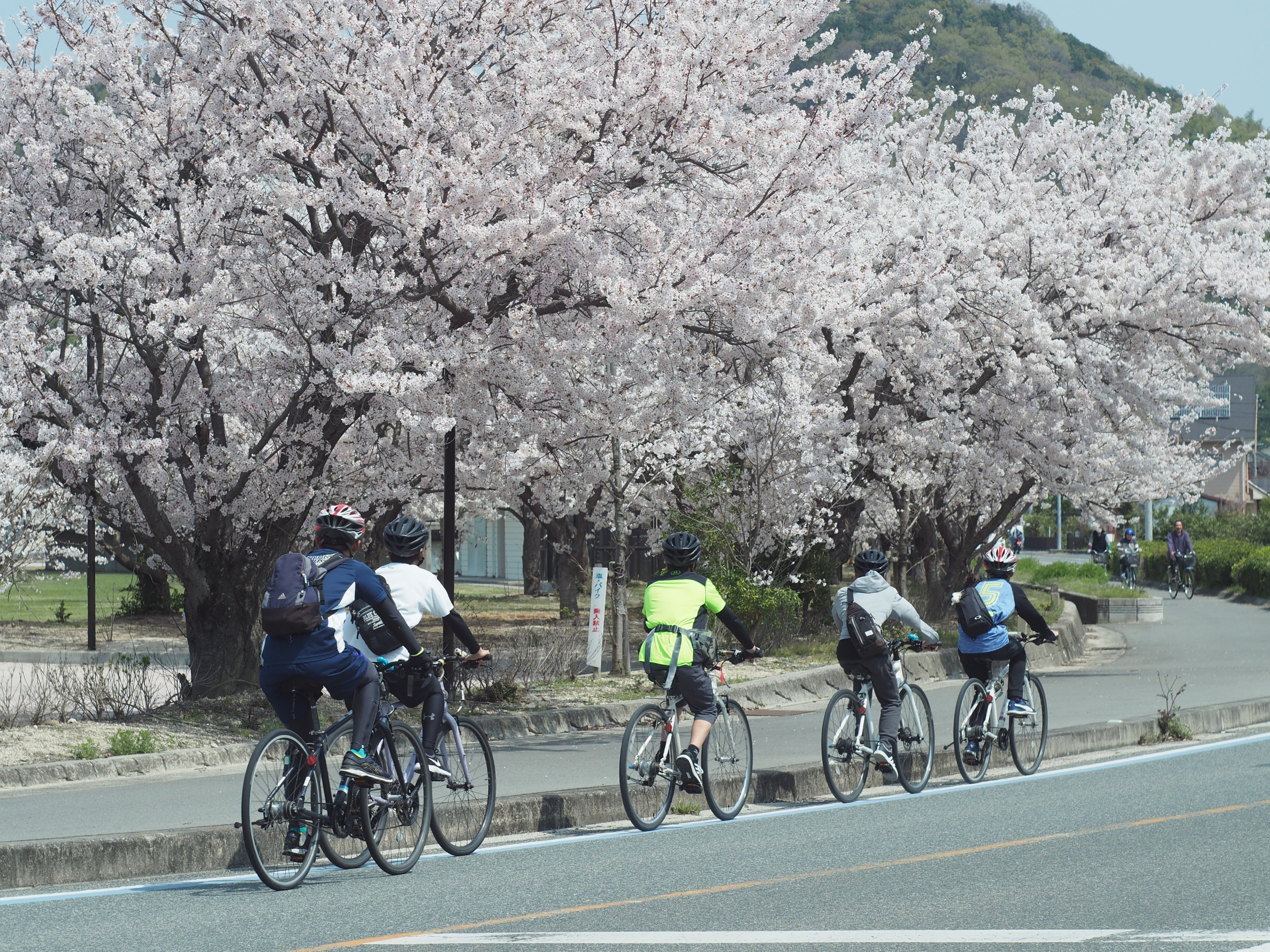 濑户内岛波海道自行车租借与乘船体验（尾道－今治）