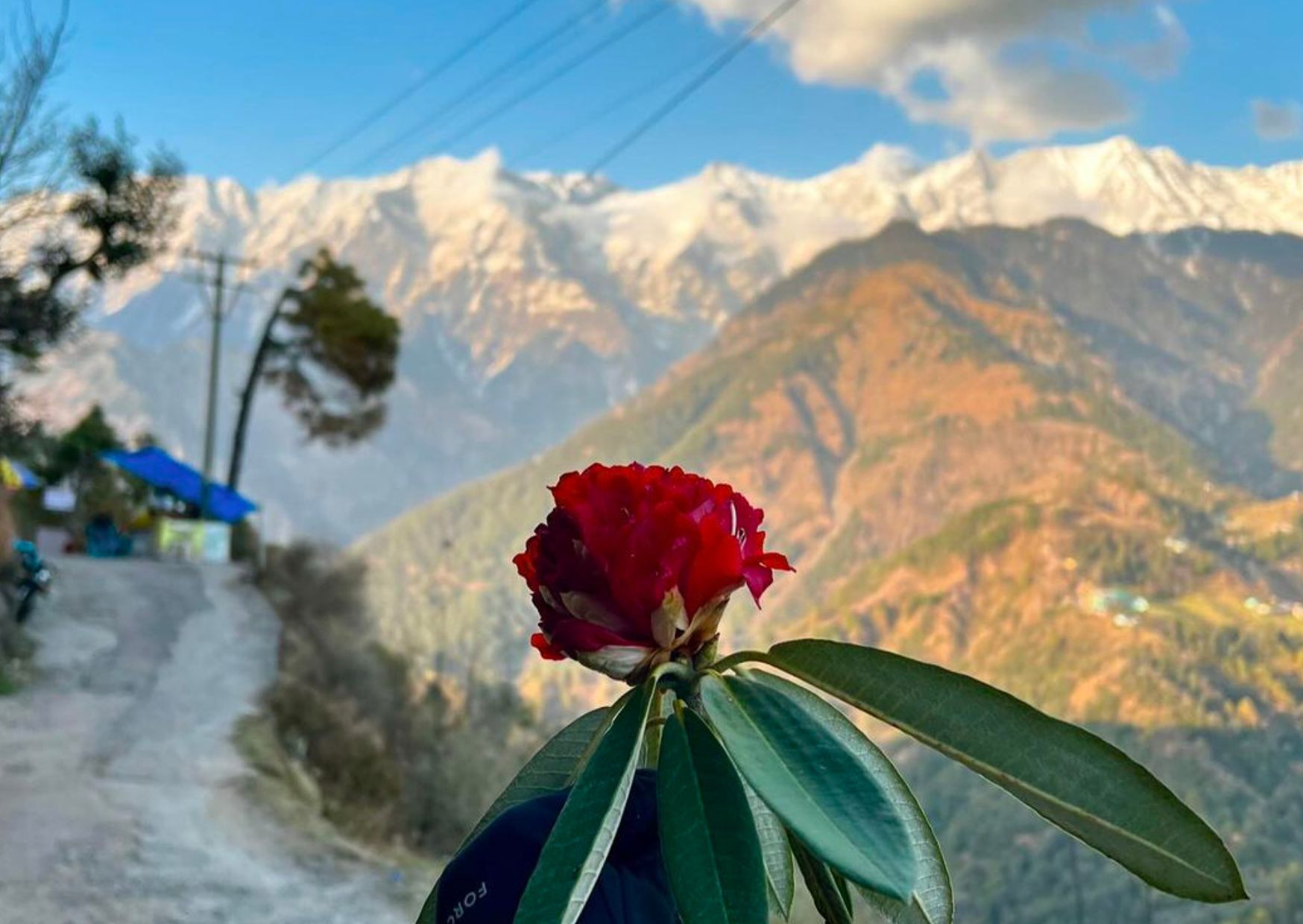 喜马拉雅山徒步之旅：达兰萨拉导览徒步体验