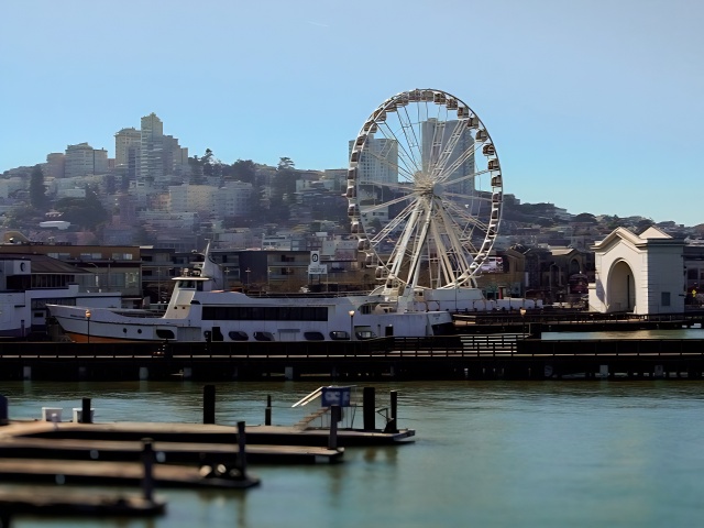 旧金山渔人码头和39号码头海鲜美食之旅