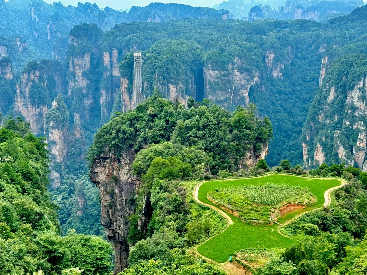 张家界尊享3日游（精品四钻酒店+VIP通道+8人小团+森林公园+天子山+袁家界+阿凡达同款+百米天梯+玻璃桥+魅力湘西表演）