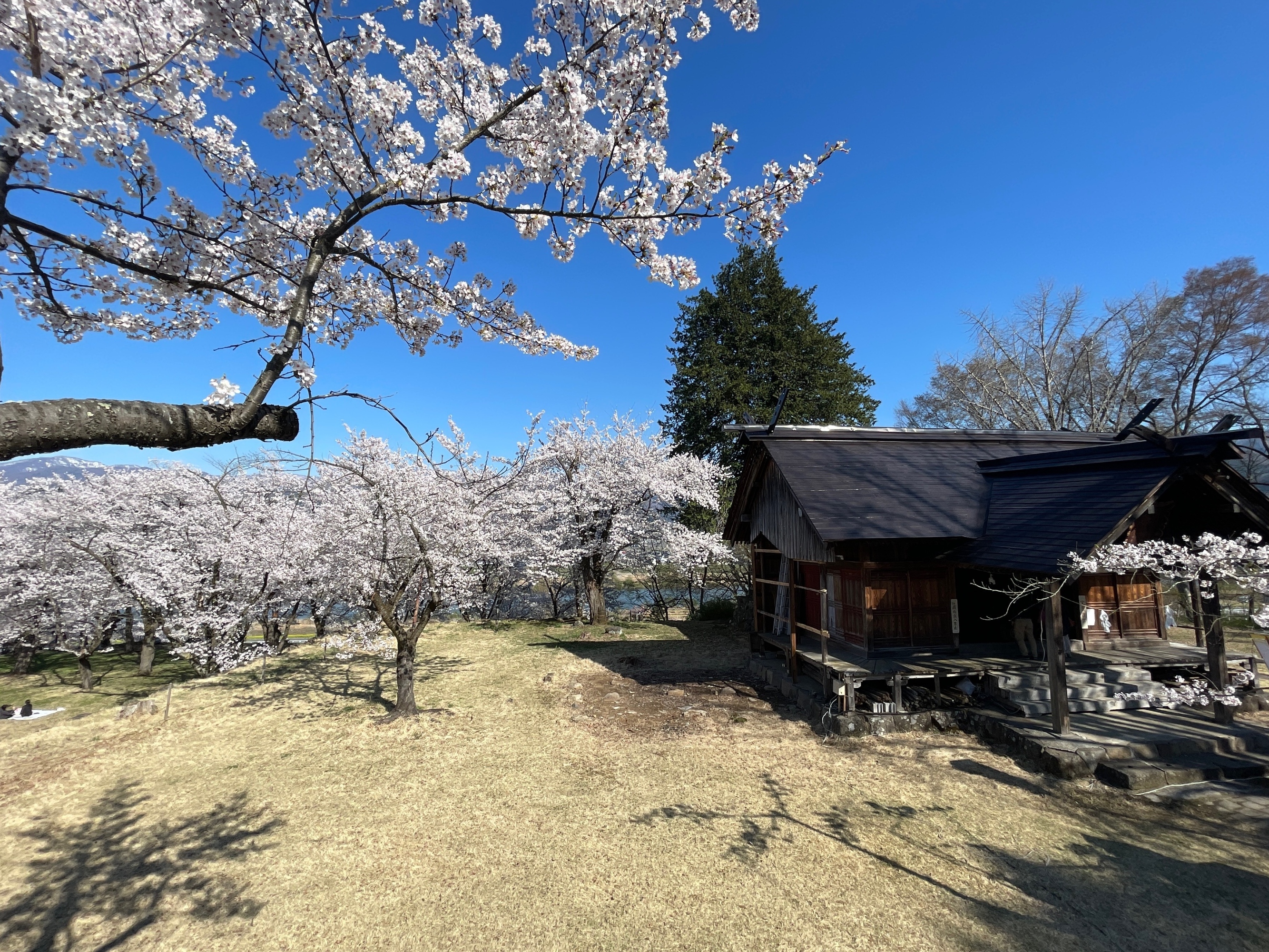 饭山城址公园和野泽温泉清晨之旅