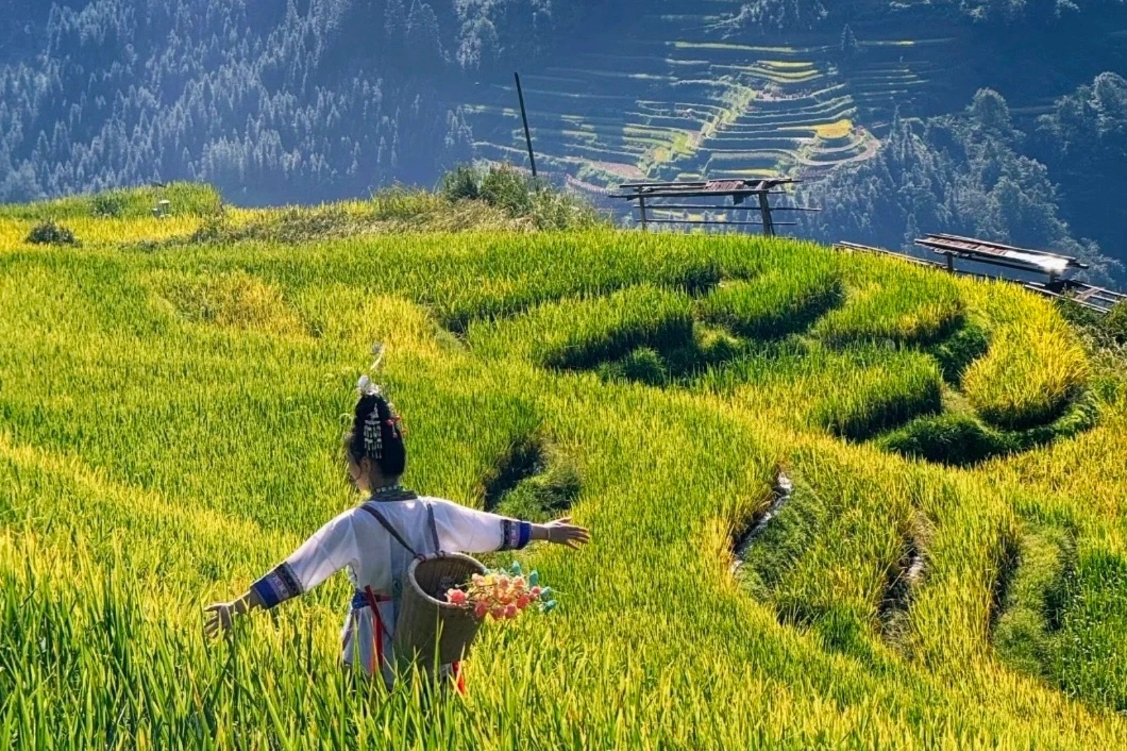 贵州黔地独行4日游（2-8人团+荔波小七孔+加榜梯田+岜沙苗寨+肇兴侗寨）