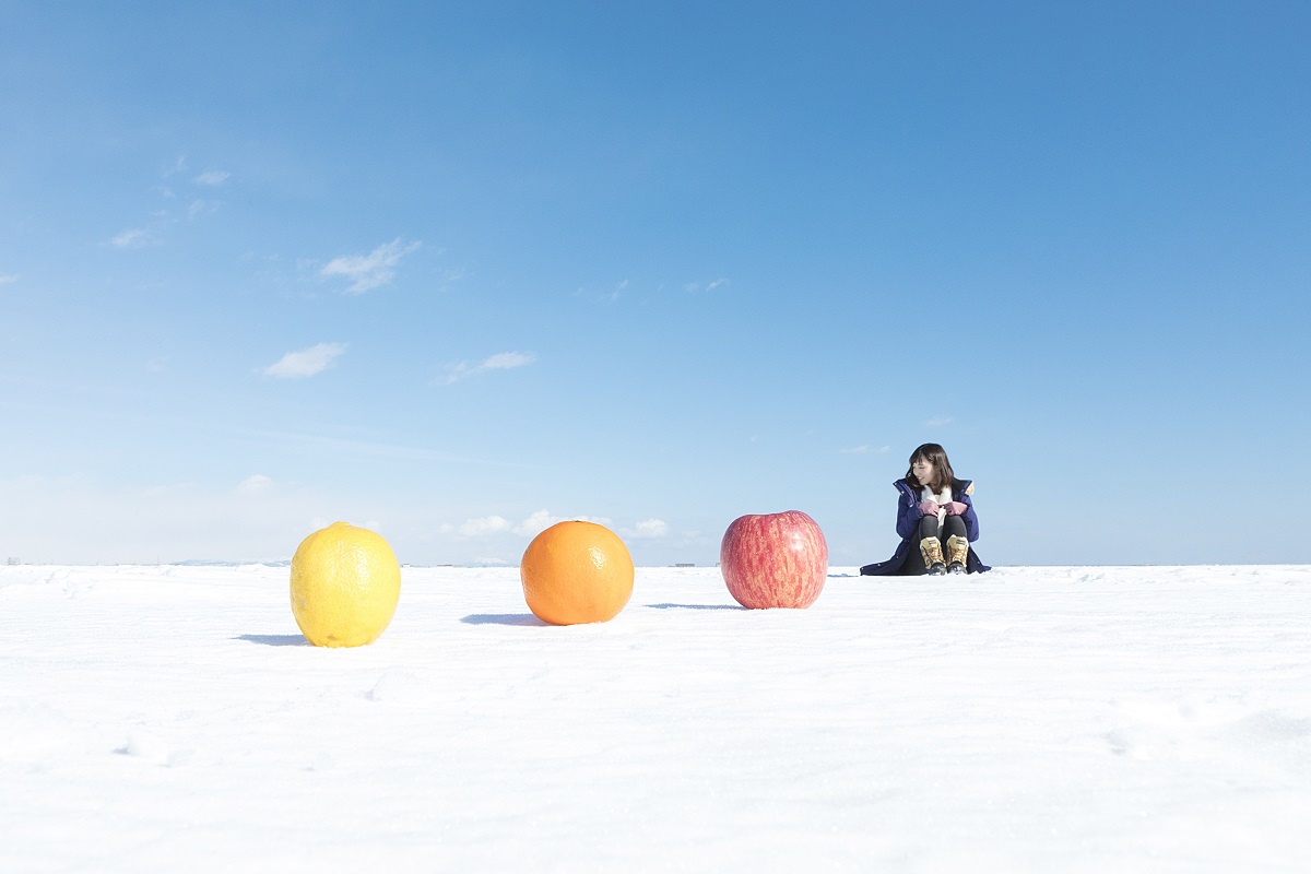 知床半岛冰海漫步：踏上鄂霍次克海的冰雪奇缘