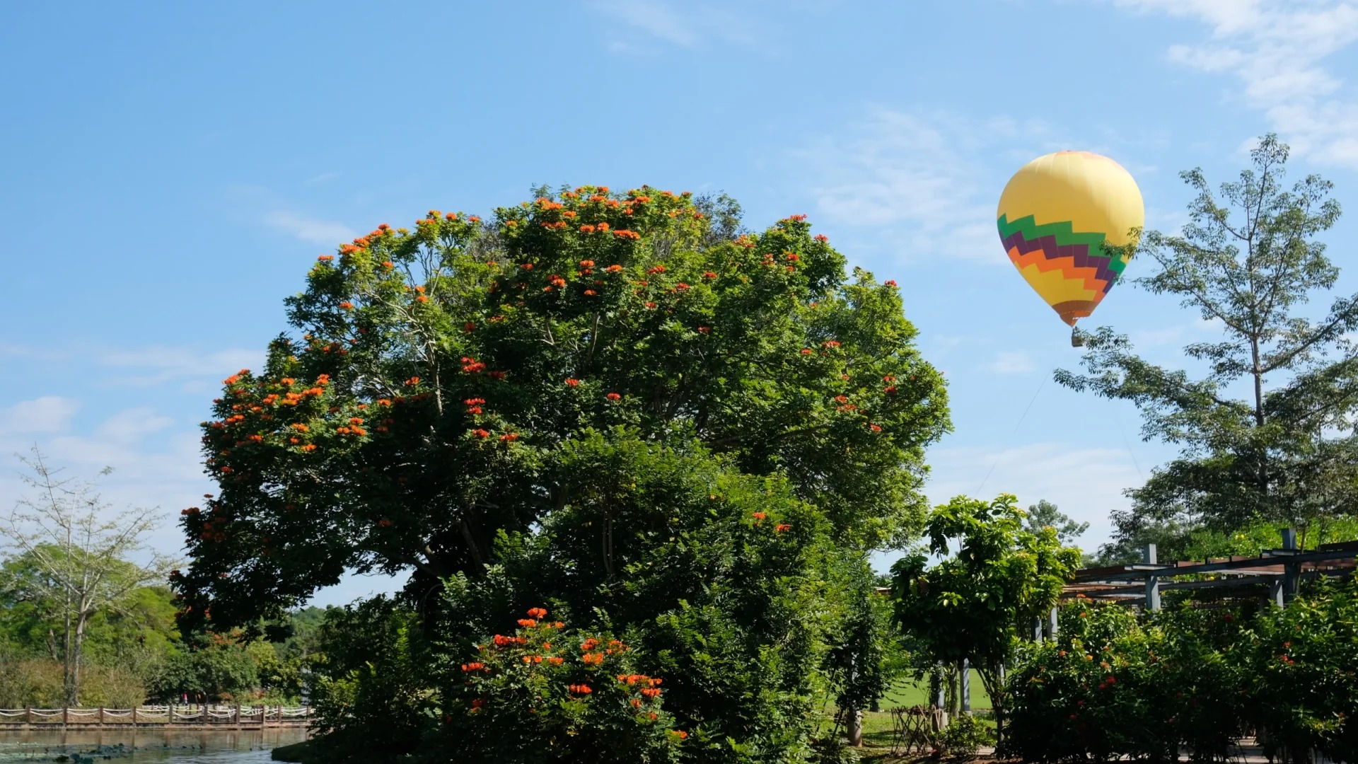 云南中科院西双版纳热带植物园+傣族园一日游（绿野仙踪·雨林秘境+傣家烟火·泼水盛宴）