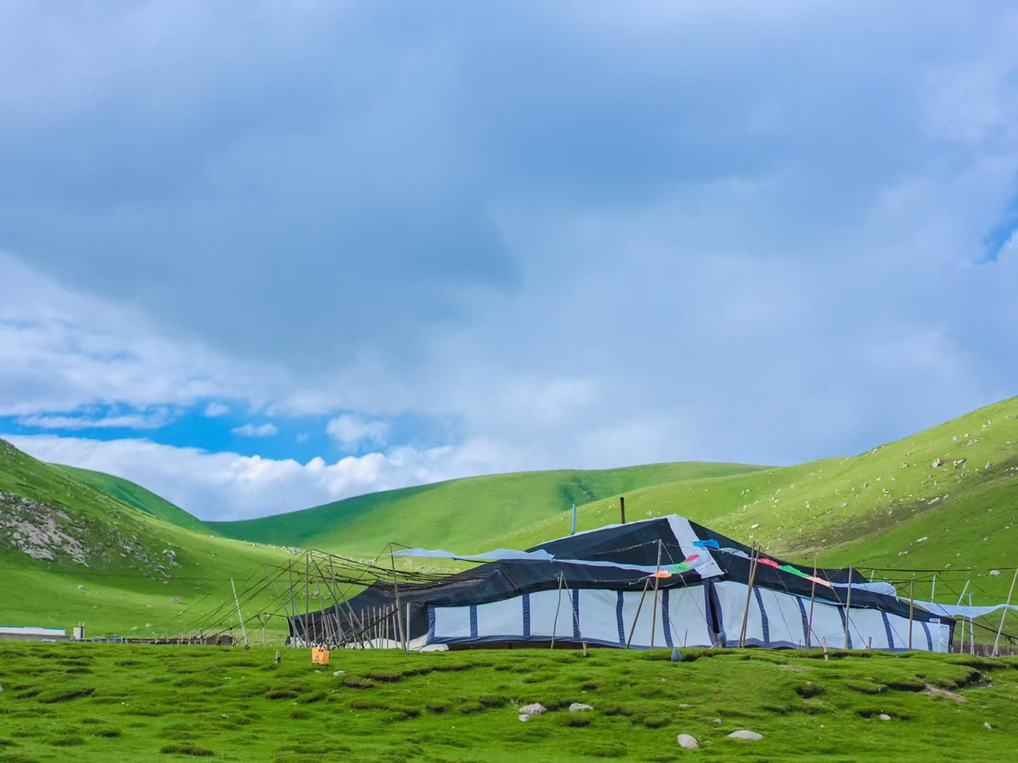 青甘小环线轻享5日游（包车游+支持外宾报名+臻选4/5钻酒店+游牧文化体验+青海湖湟鱼洄游&野生鸟类+祁连草原风光+茶卡盐湖+七彩丹霞）