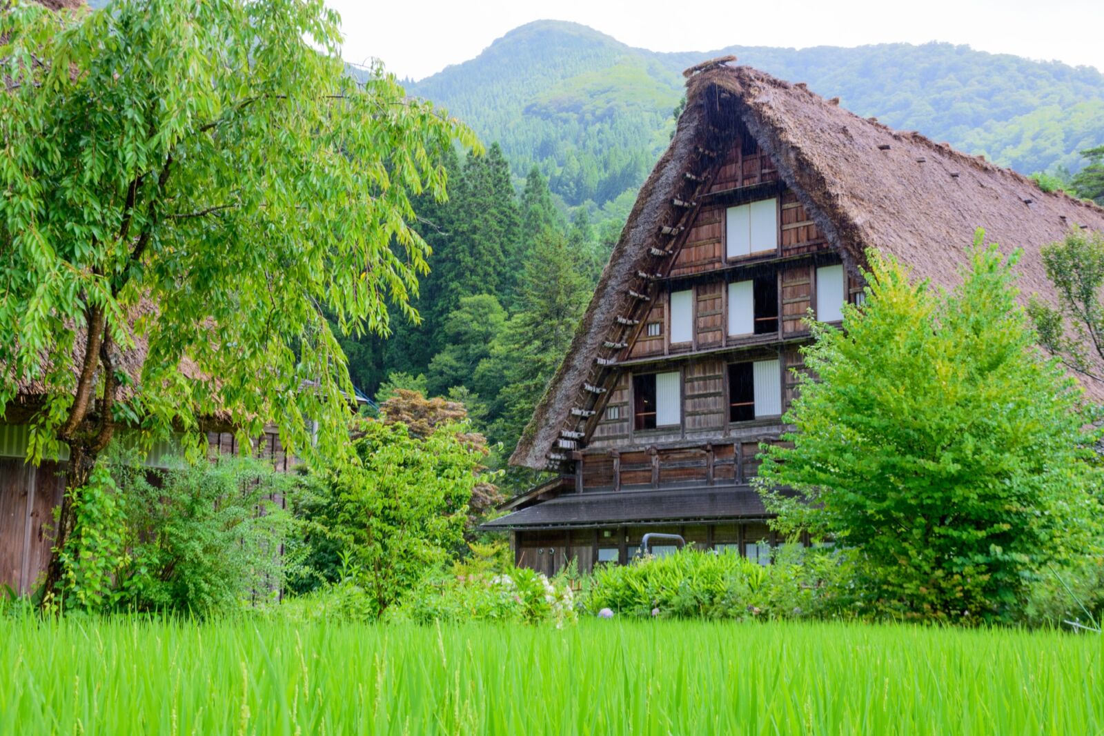名古屋出发：高山和白川乡私人导览游