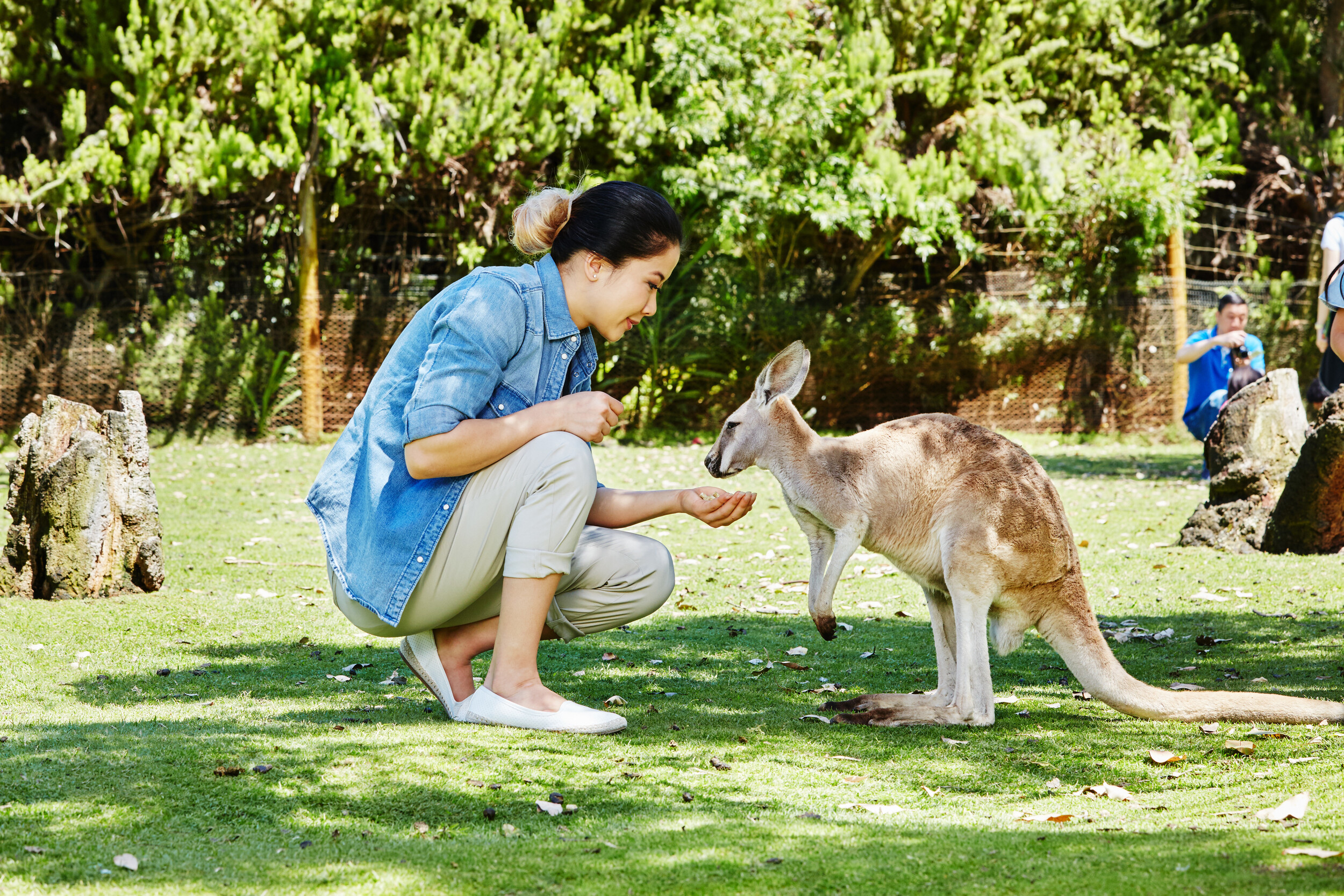 凯维森野生动物园、尖峰石阵沙漠一日游（日语导游）