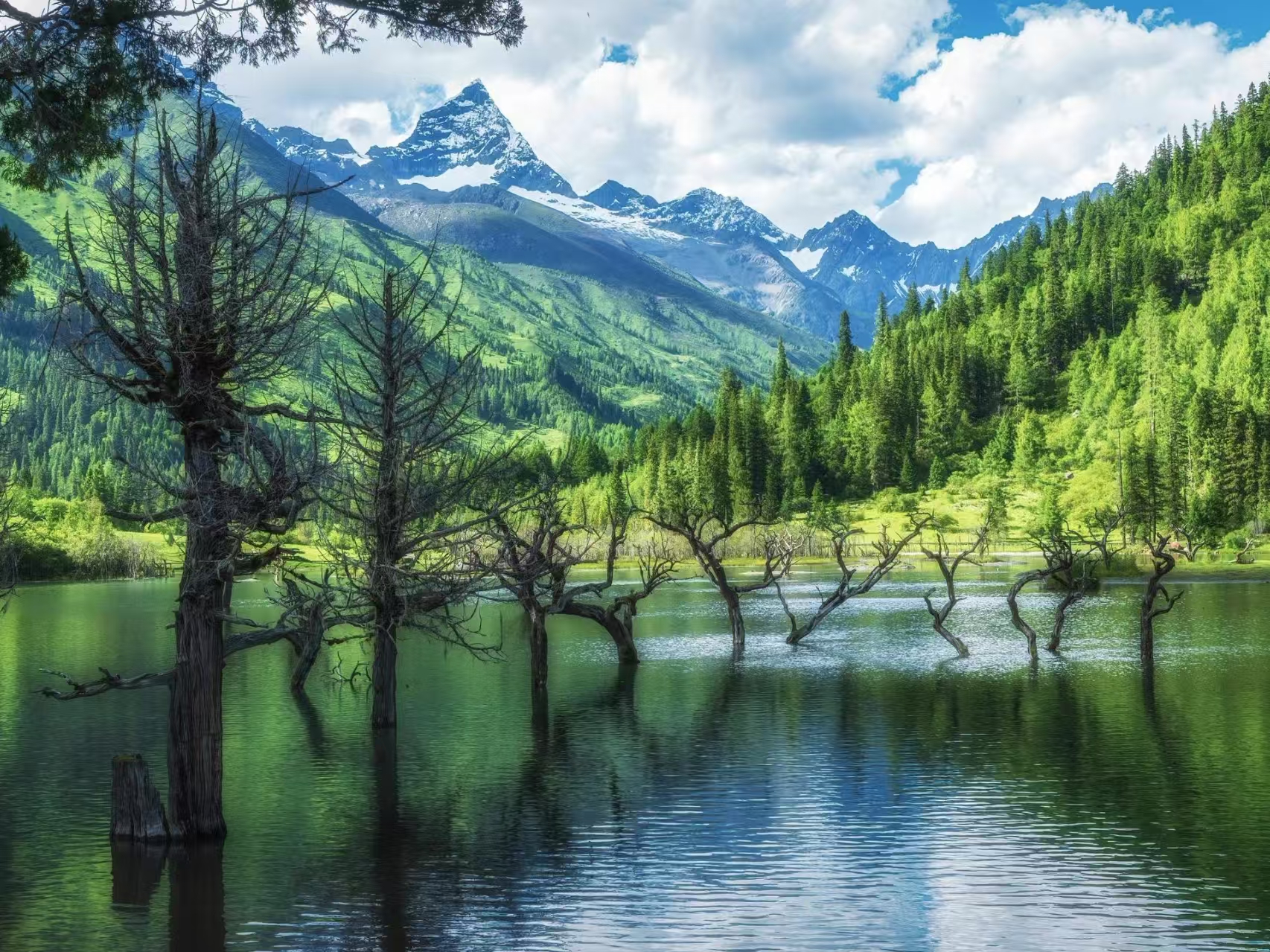 四川四姑娘山毕棚沟2日游中英文团 （2-8人精品小团+川西秘境+双桥沟+毕棚沟+高原雪山+宝石湖泊卓玛湖+豪华保姆车+赠氧气瓶）