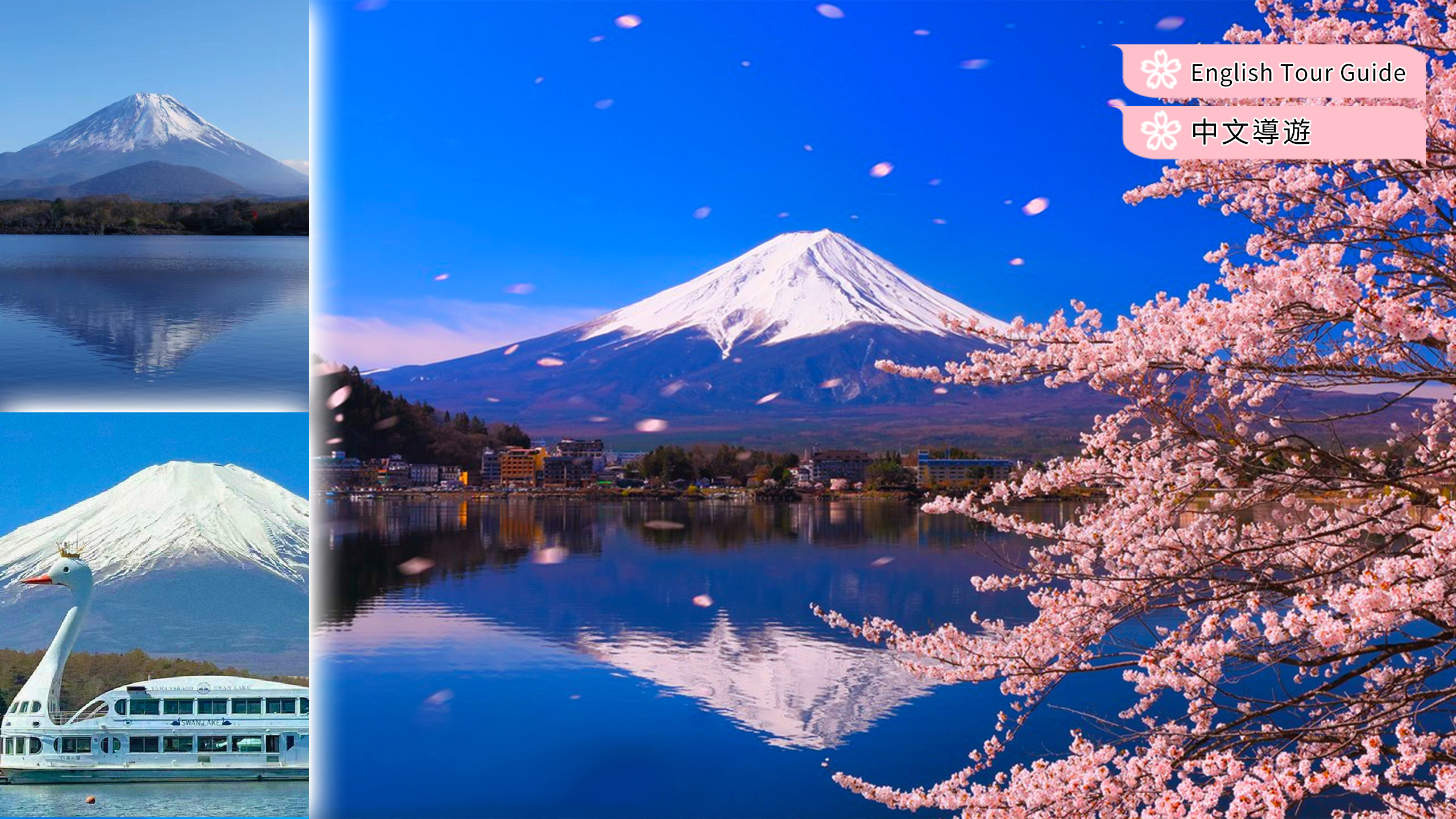 【富士山三湖打卡游】河口湖&山中湖&精进湖&罗森便利店 （东京出发）