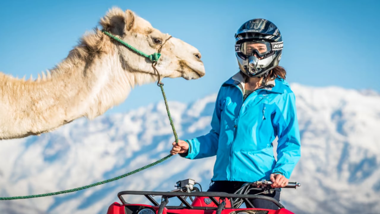 阿格菲沙漠：骑骆驼和晚餐表演，含火舞秀