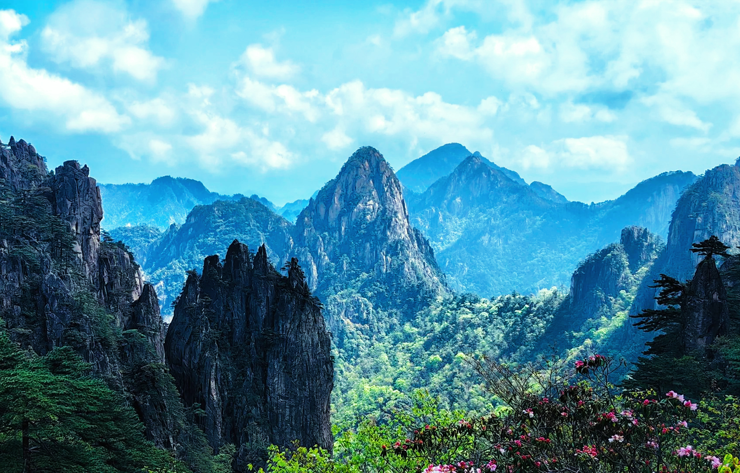 安徽黄山风景区纯玩1日游（黄山奇松迎客+光明顶+世界文化与自然双重遗产+欣赏绝美黄山+征服云海之巅+黄山往返）