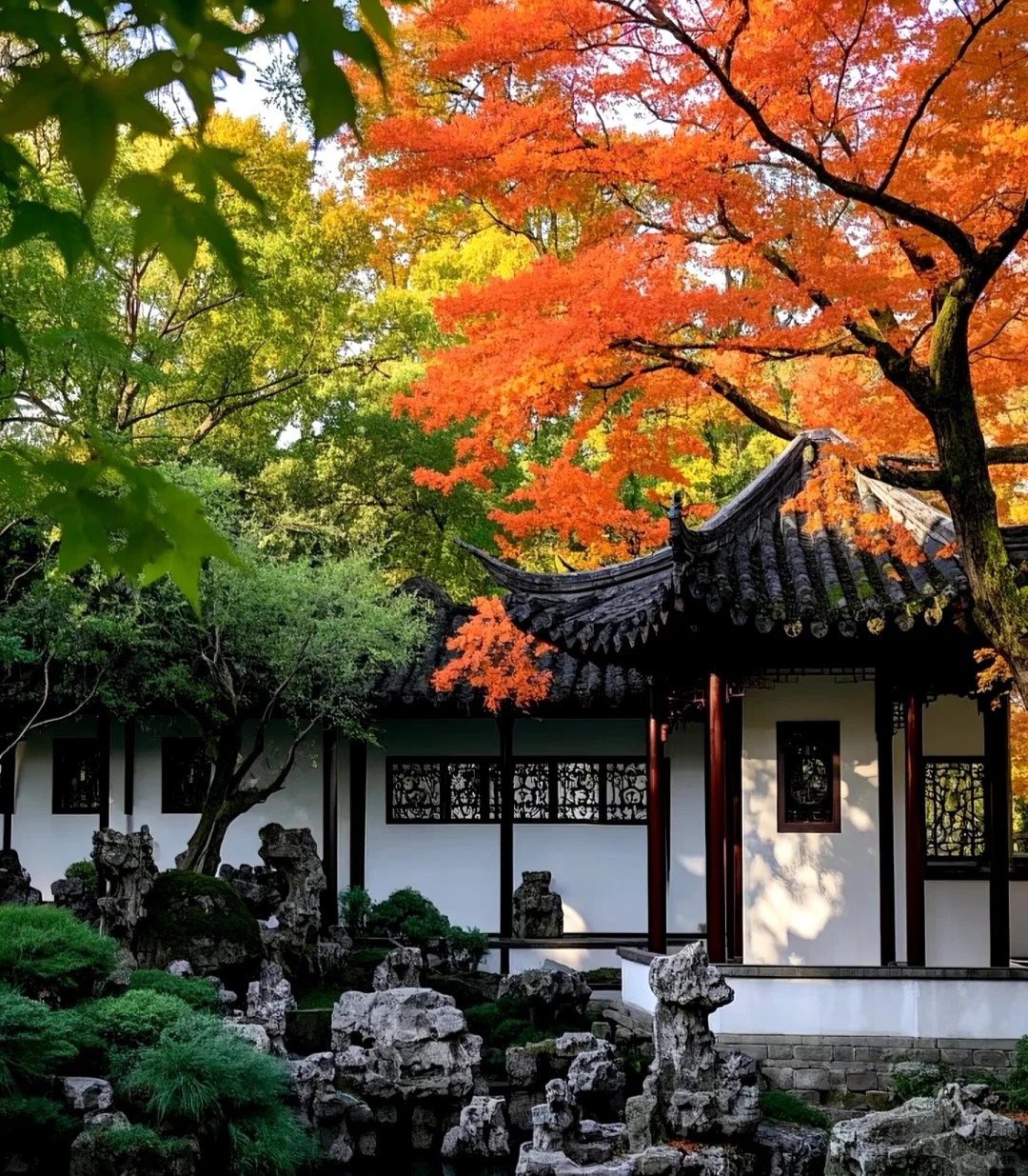 苏州/上海出发拙政园 虎丘山 狮子林一日游（打卡千年名寺 寒山寺）