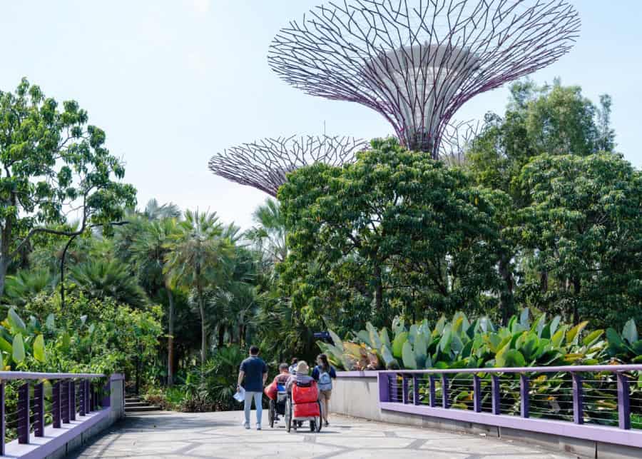 无障碍滨海湾花园导览游：花穹和云雾林