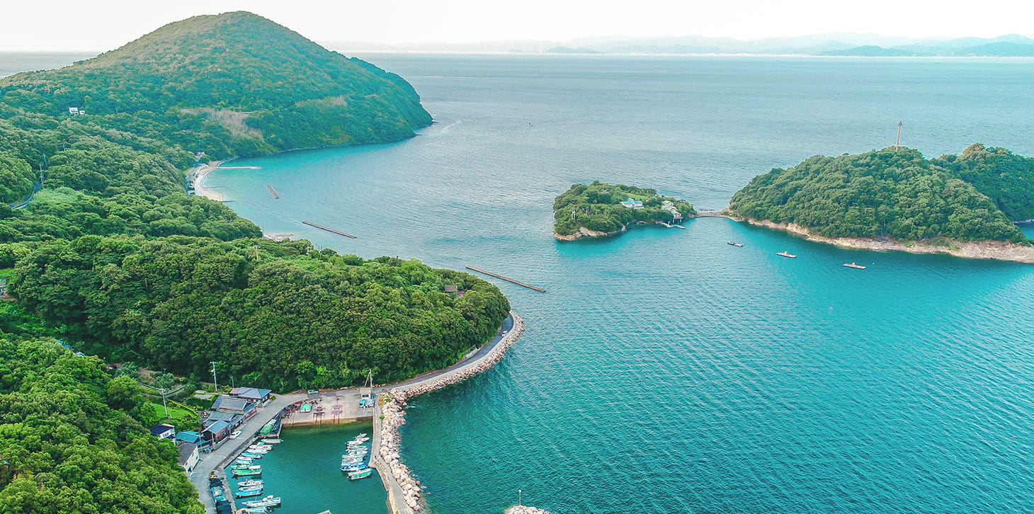 濑户内海三年展朝圣之旅专属快艇（从高松/宇野出发）