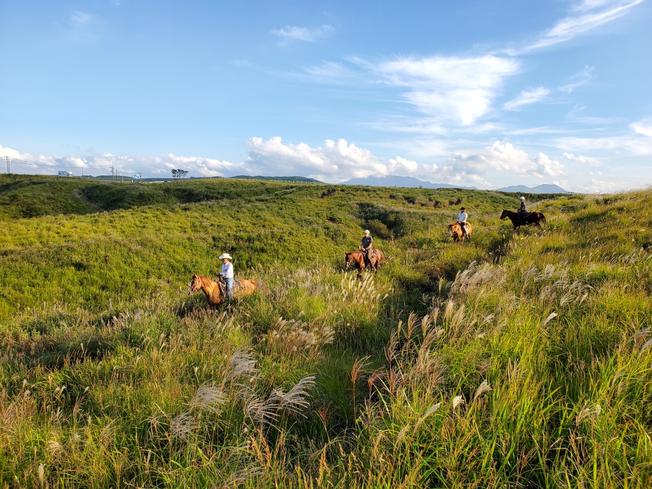 阿苏草原骑马&大观峰&内牧温泉 (阿苏出发)