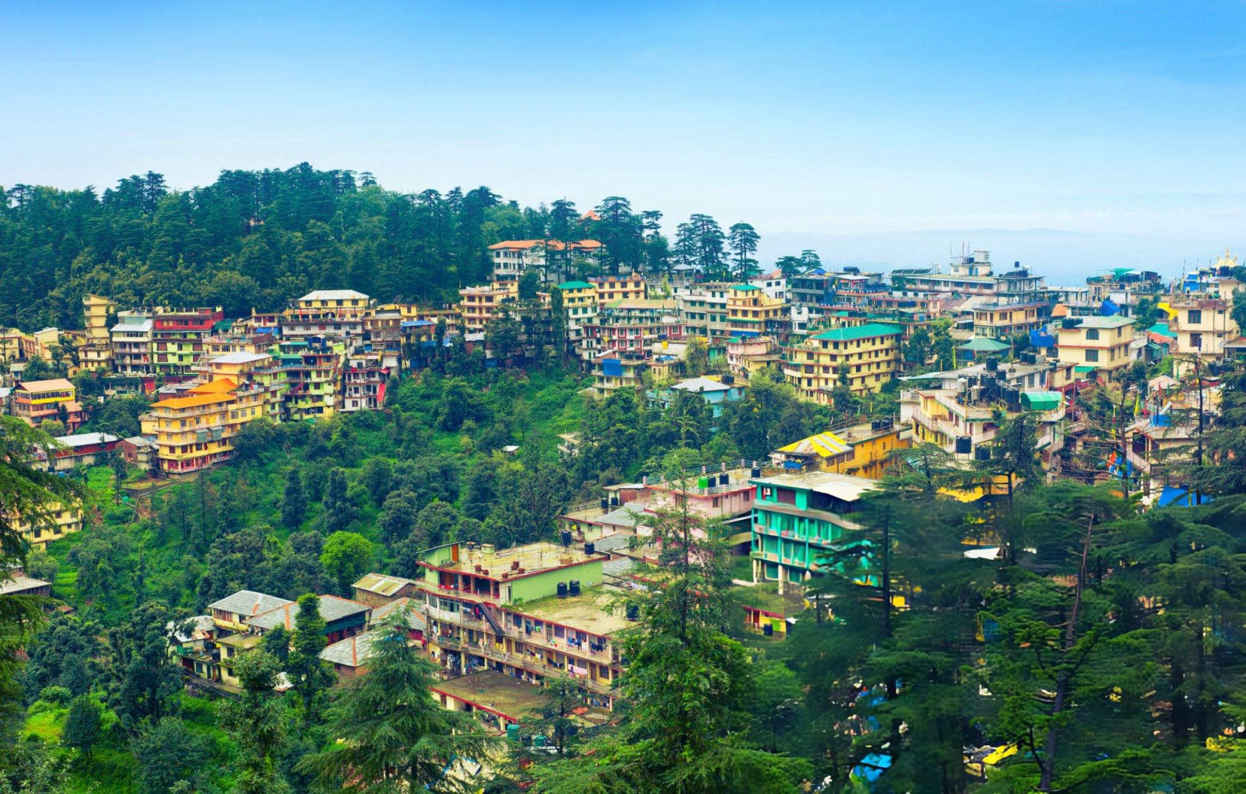 达兰萨拉半日游：空调车及当地导游陪同