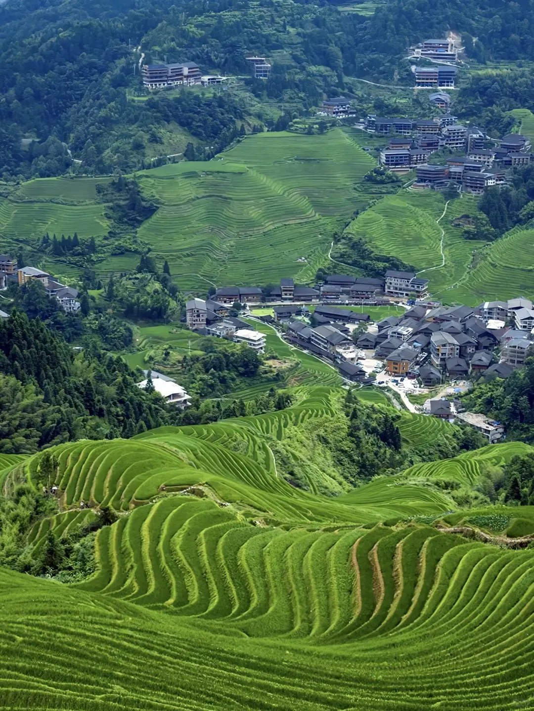 桂林出发 龙脊梯田 金坑大寨 黄洛红瑶寨 一日游 梯田美景尽收眼底
