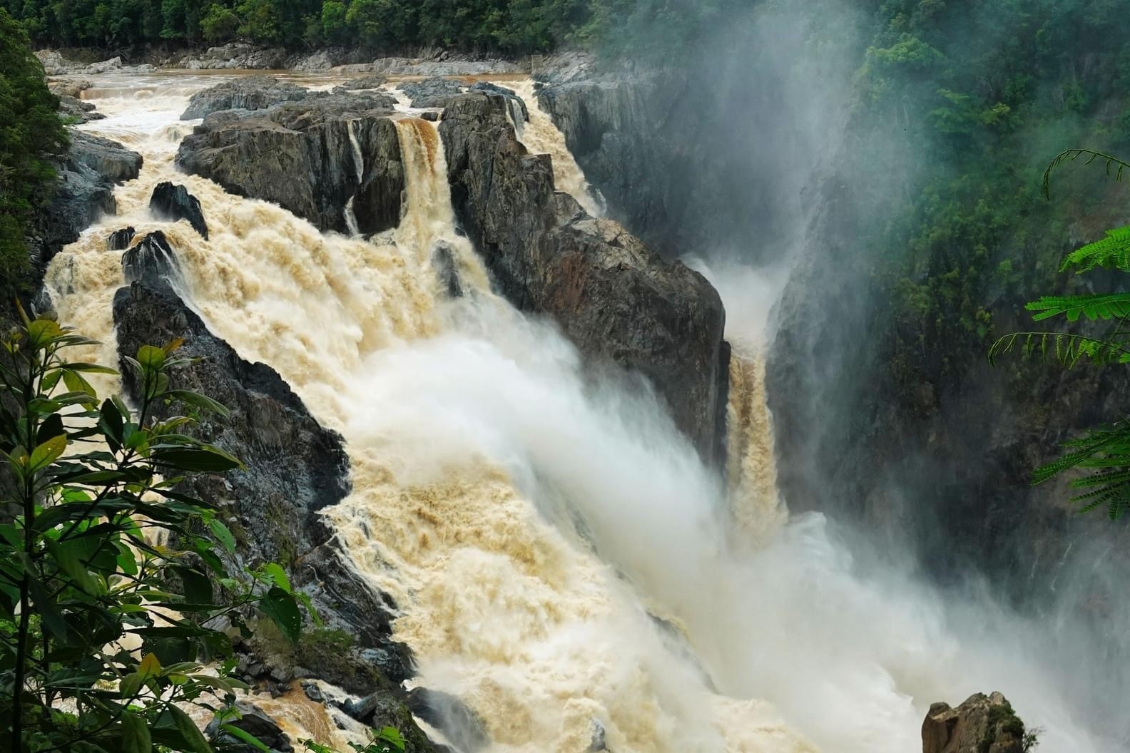 凯恩斯高原瀑布、野生动物与美食飨宴之旅