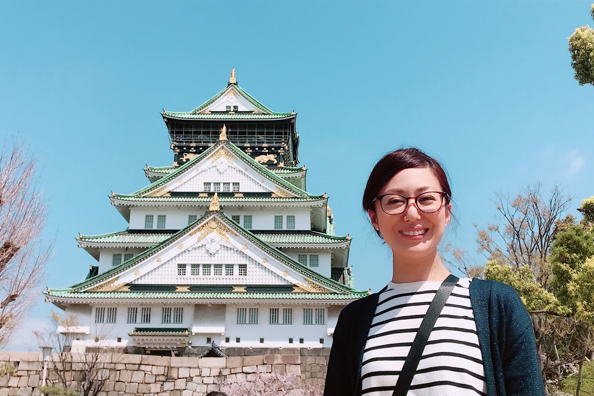 大阪城私人历史之旅：武士与将军的故事