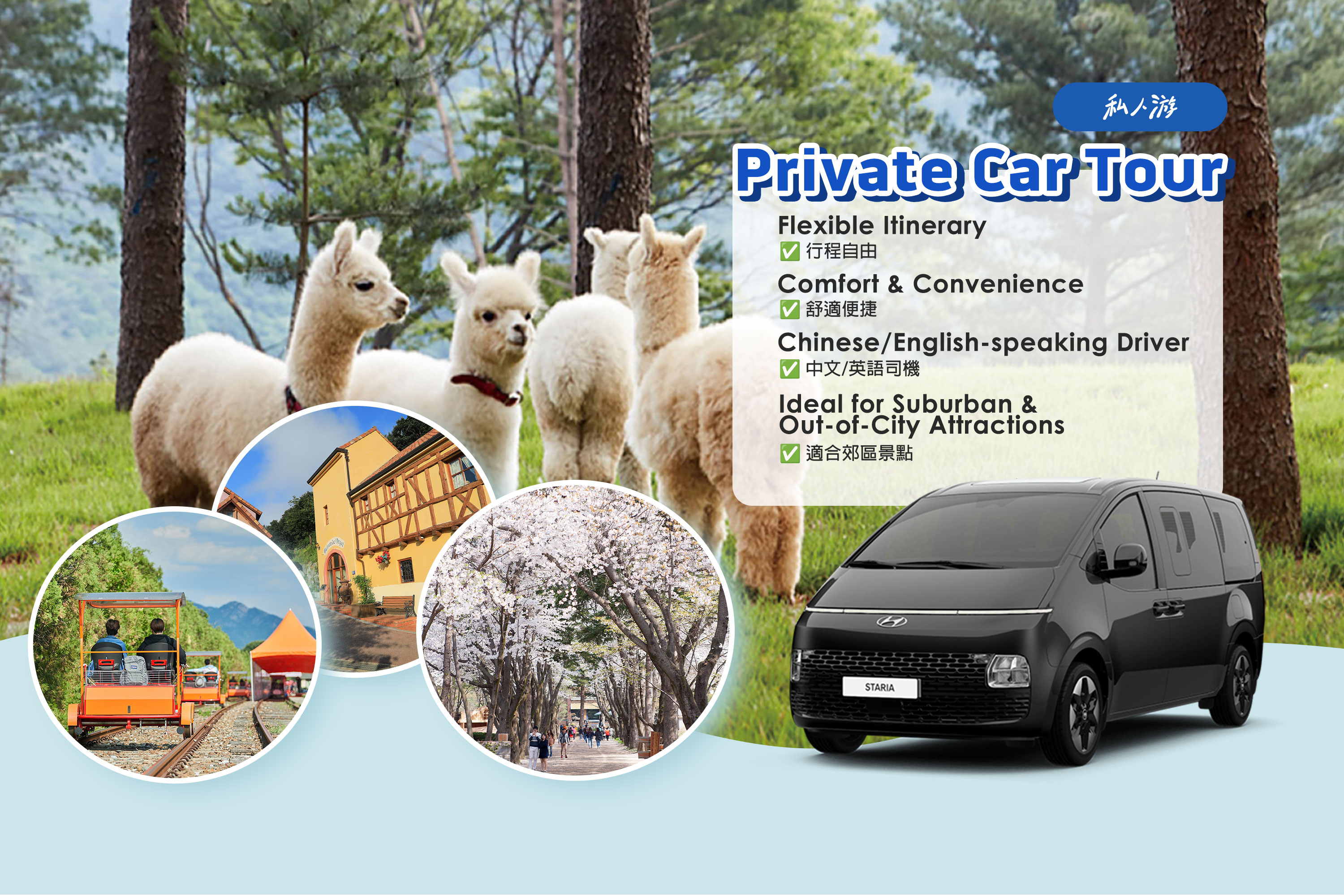 南怡岛／草泥马／铁道自行车／小法国村／韩服体验／晨静树木园 私人包车游