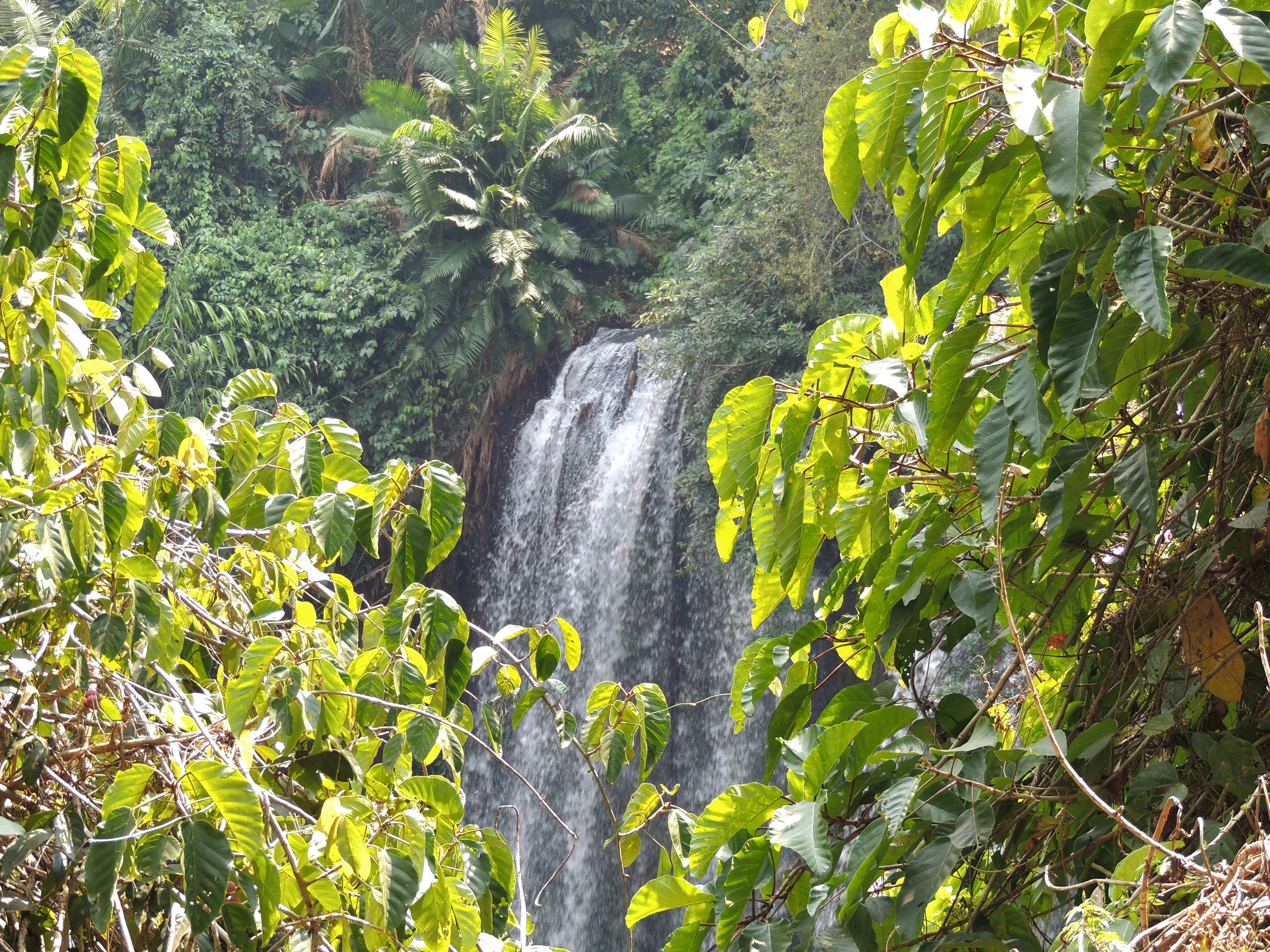 暹粒市：库伦山瀑布之旅