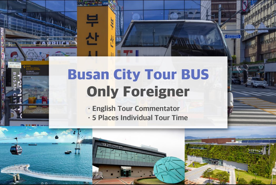 釜山城市观光巴士