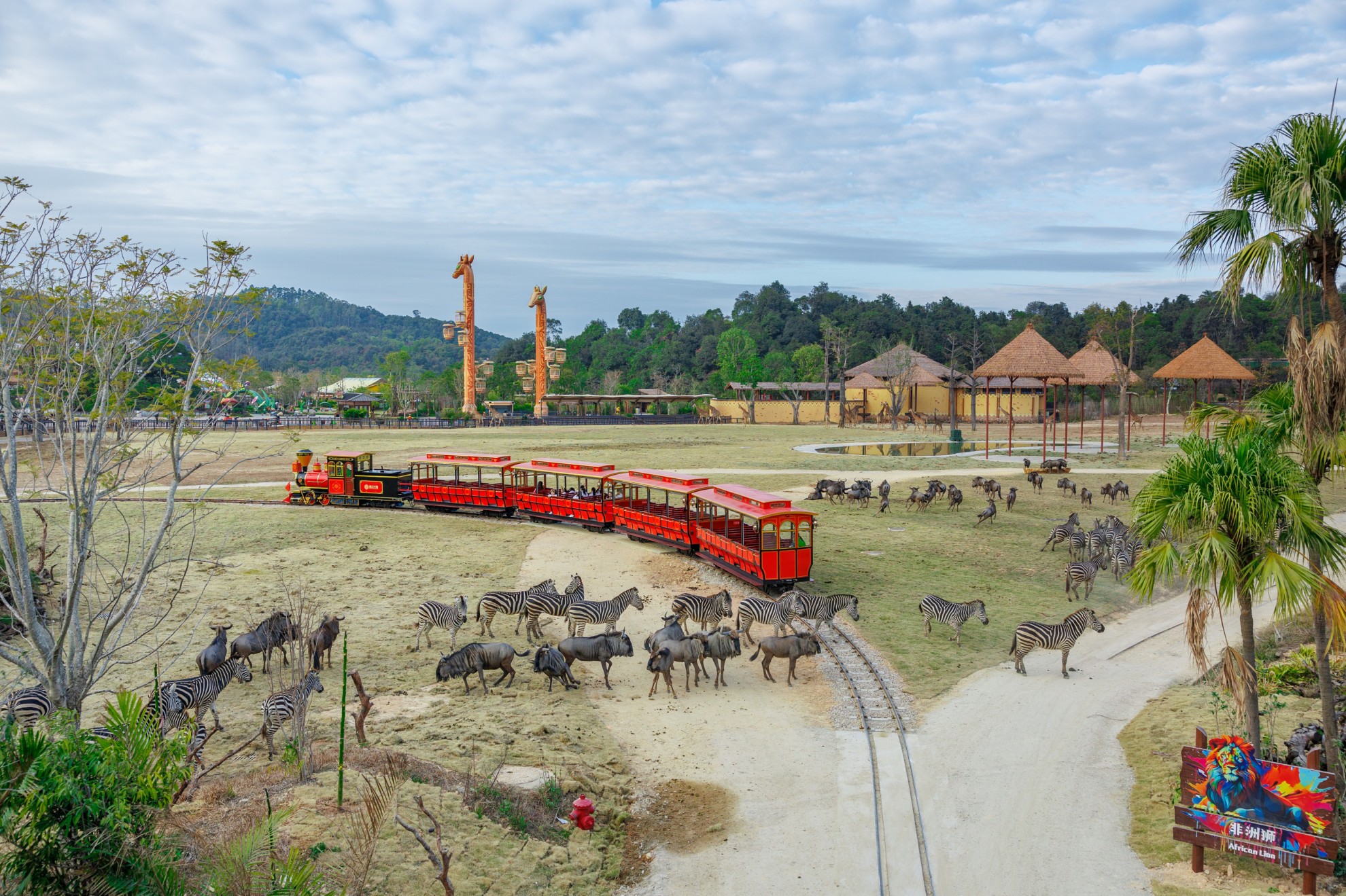 城市交通 清远香港跨境接载