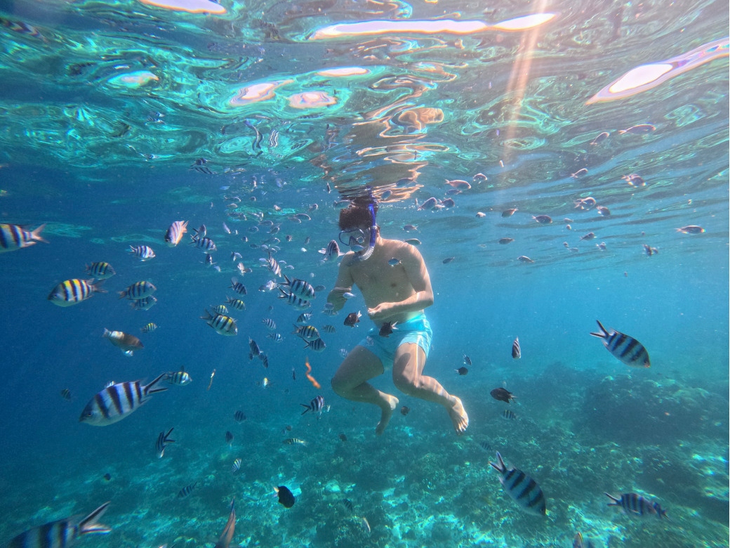 宿务岛3岛跳岛一日游（含午餐）