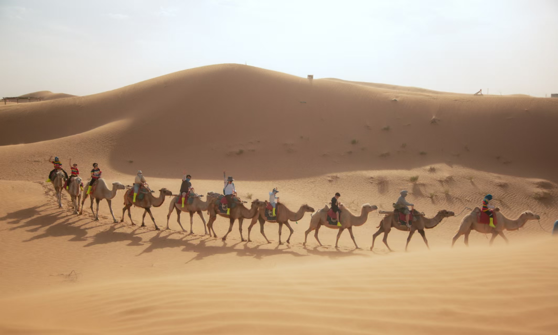 宁夏趣游沙漠6日游（七号星空帐篷酒店/腾格里沙漠沙景民宿+腾格里五湖穿越+赠乌兰湖无人机航拍+贺兰演艺小镇）