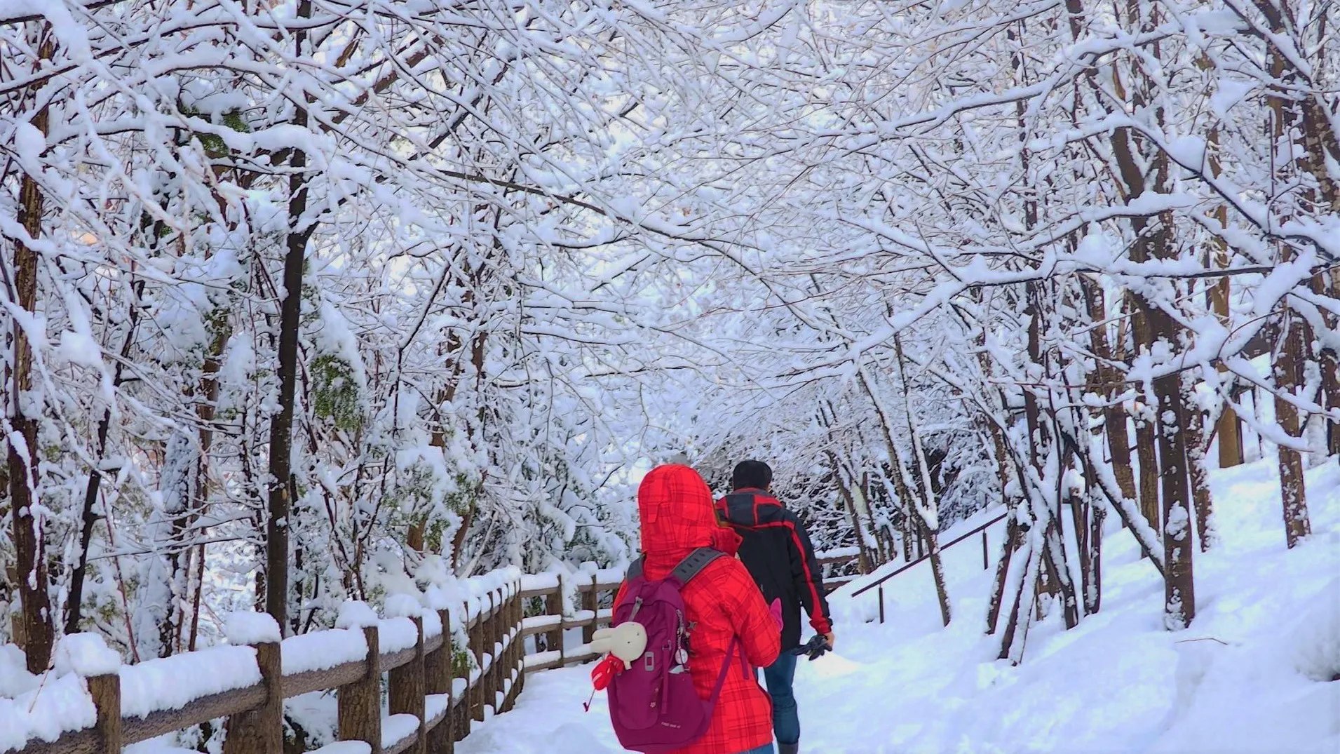 北海道：札幌半日观光巴士之旅