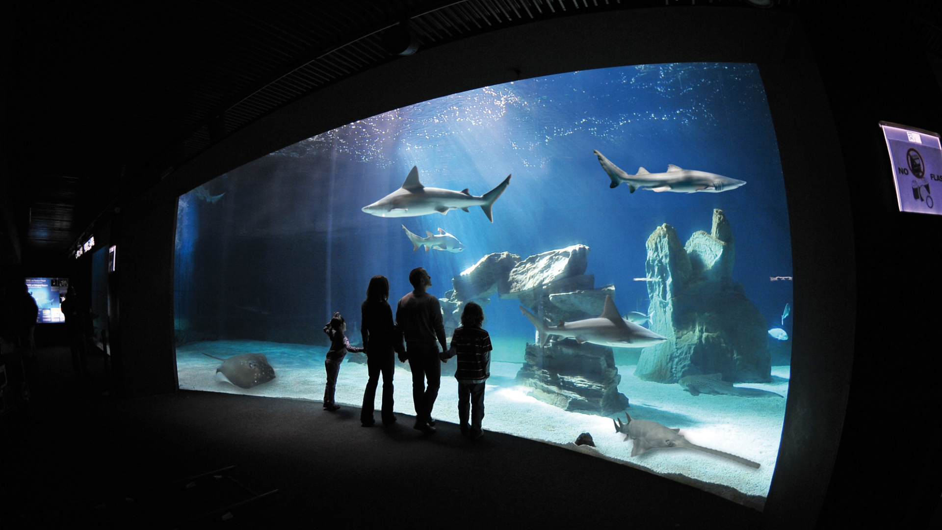 热那亚水族馆和儿童青少年博物馆门票