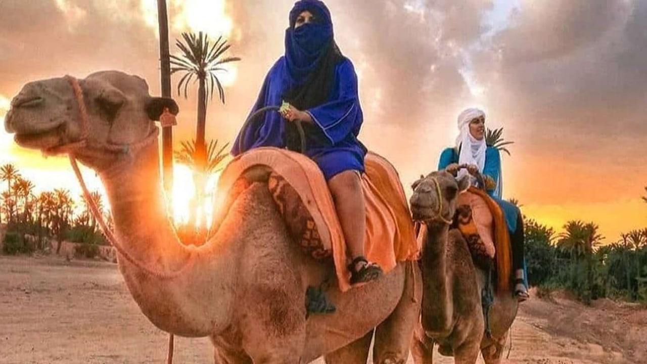 马拉喀什：棕榈绿洲骑骆驼