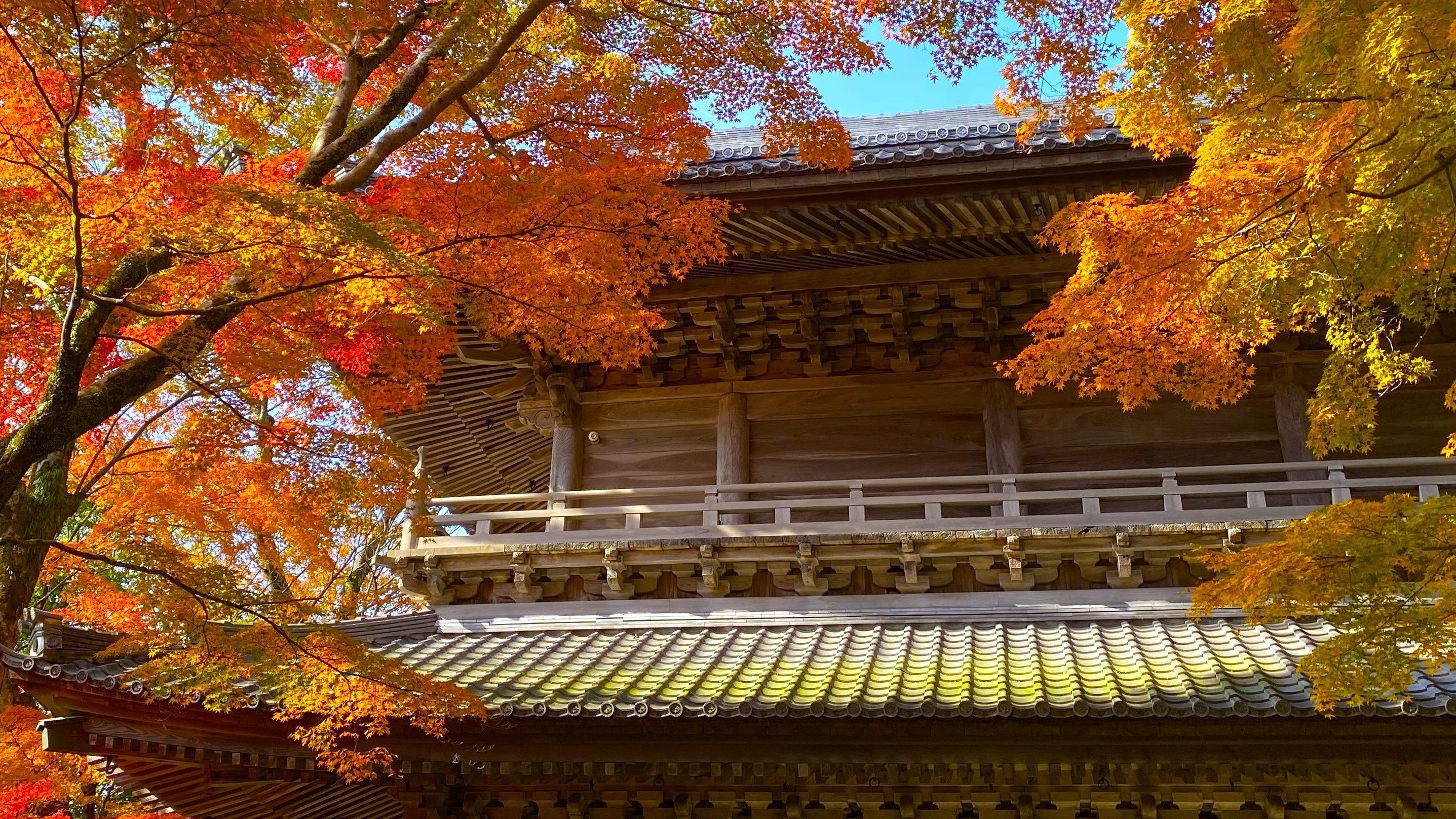 从京都出发，畅享滋贺秋季、购物和缆车巴士之旅