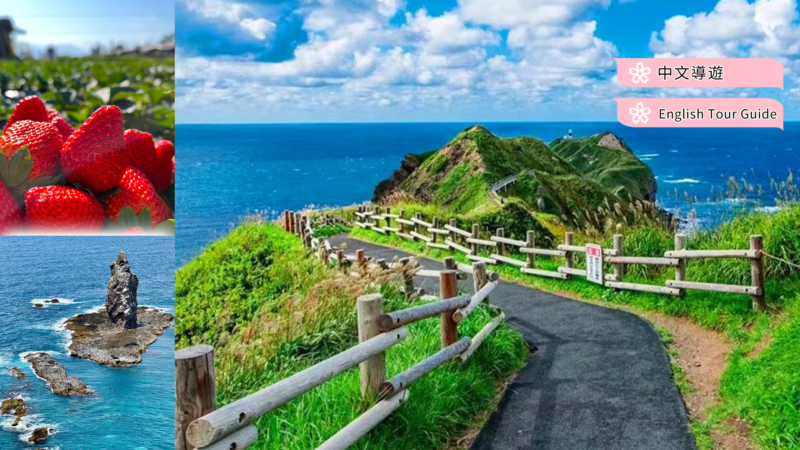 北海道盛夏|小樽&积丹神威岬&余市采摘或蒸馏馆一日游｜札幌出发