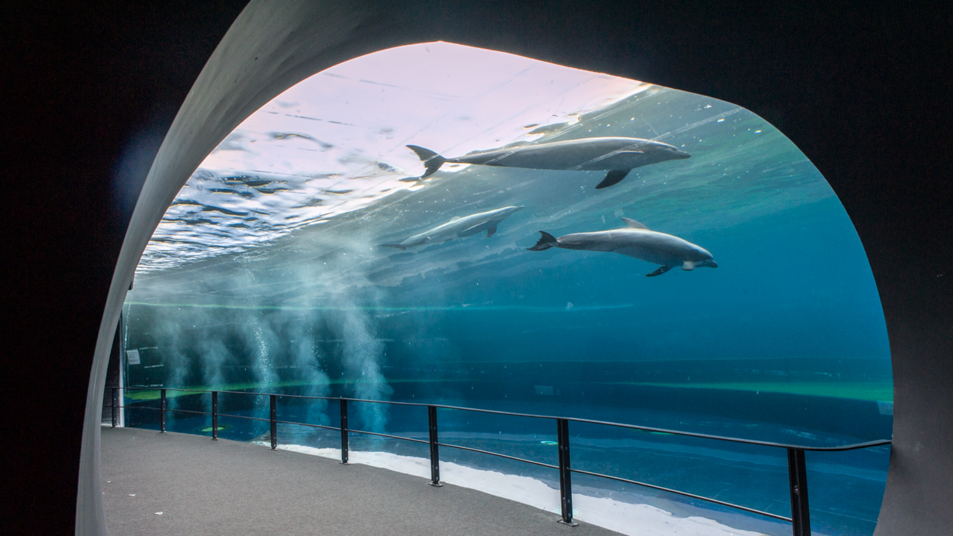 热那亚水族馆和幻想影院门票