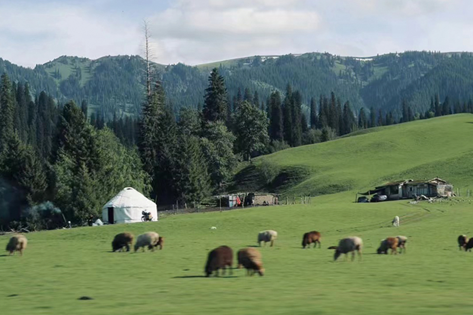 【私享定制团】新疆伊犁纵贯天山8日 (高配置坦克300+旅拍摄影+赛里木湖+夏塔冰川+恰西森林+那拉提草原+古牧道秘境)