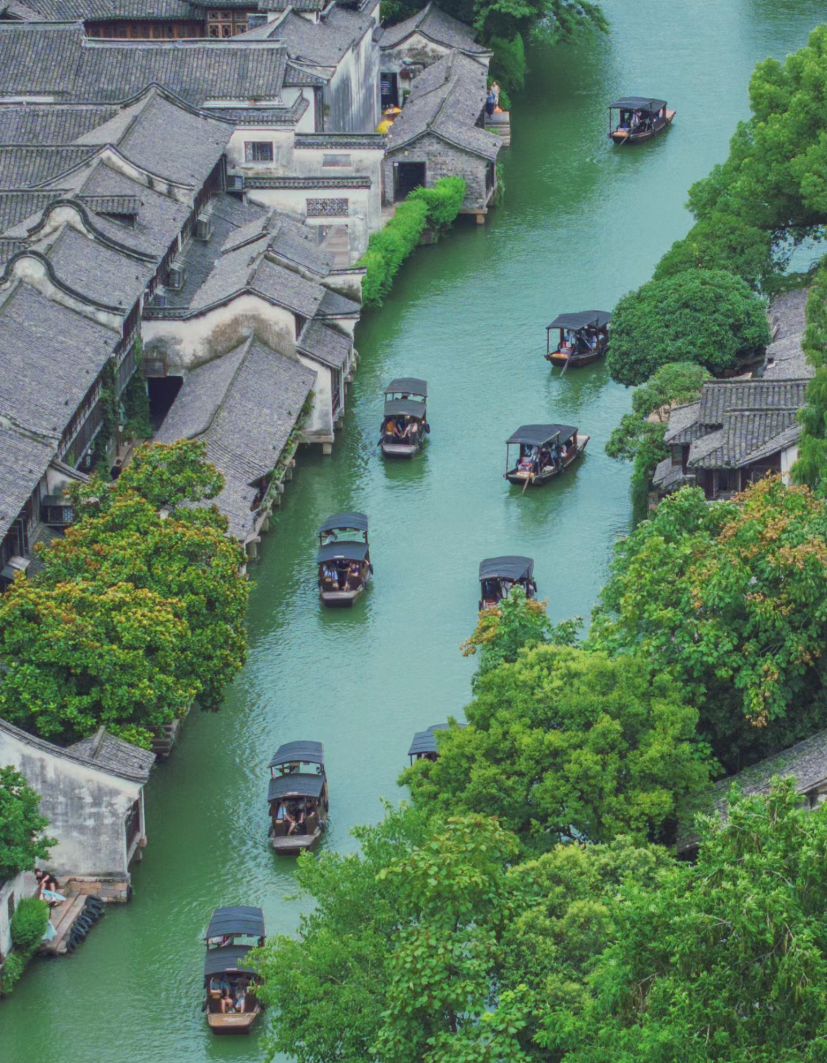 【中韩双语导游】上海出发杭州乌镇/朱家角古镇拼团1日游（精致4-12人小团+导游司机双服务）