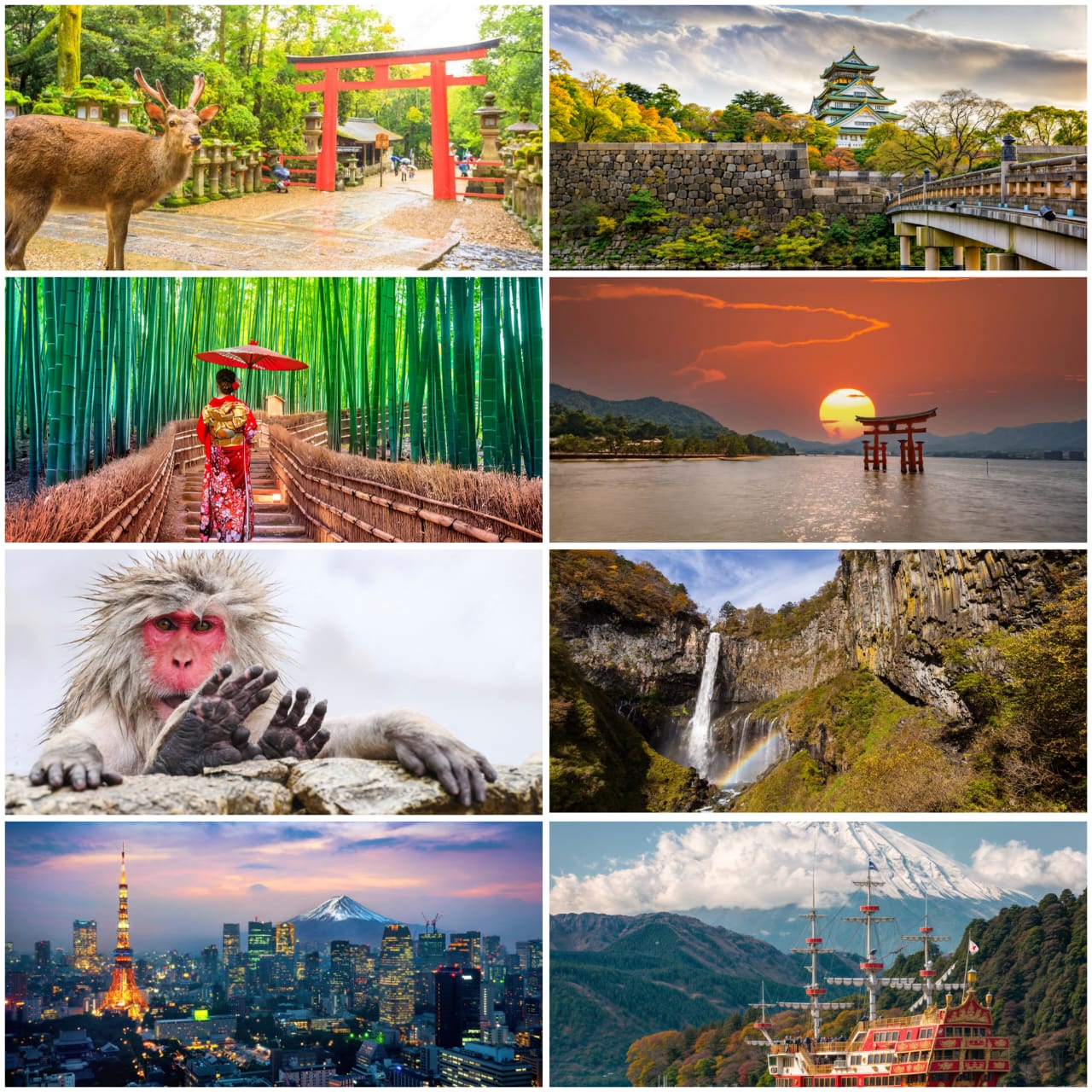 日本10天私人定制游，畅享更多景点