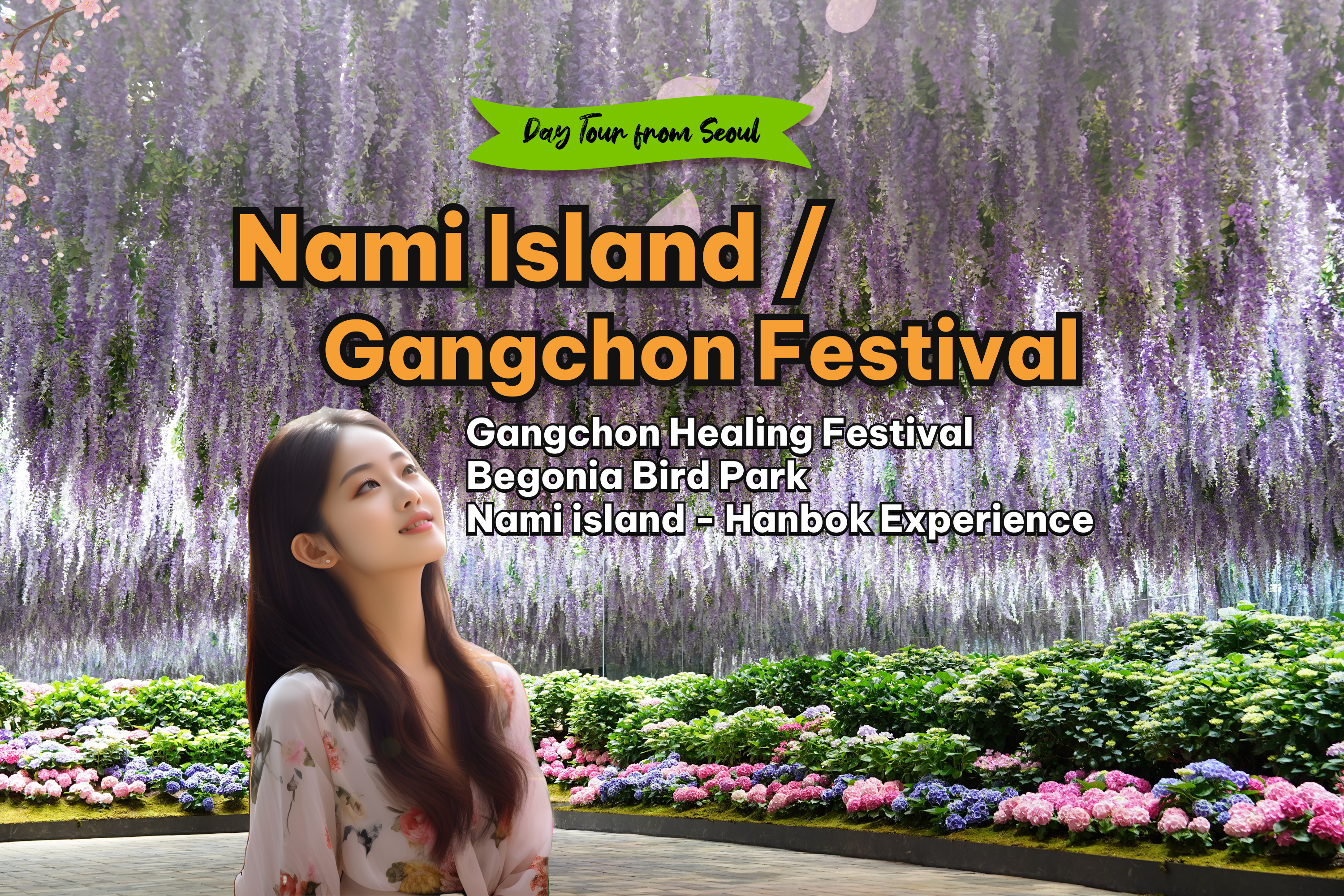 南怡岛／加平／京畿道春季赏樱一日游