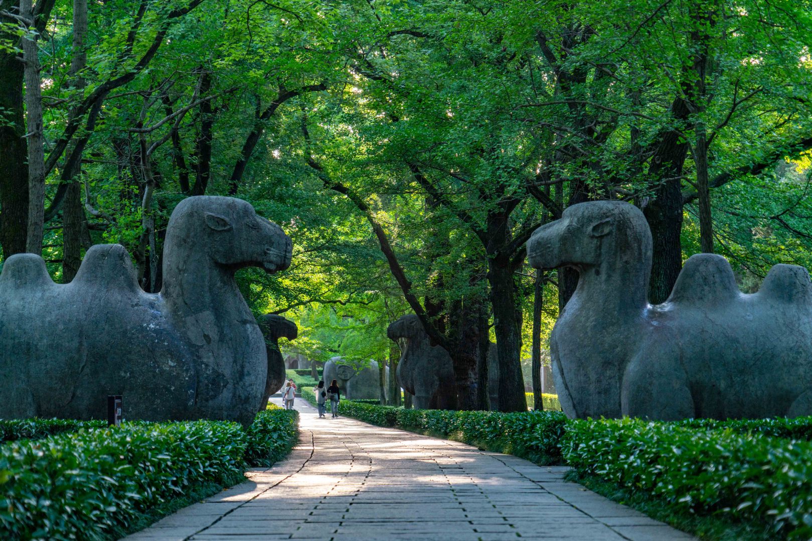 南京私人导览一日游 明孝陵 中华门 瞻园 鸡鸣寺 玄武湖