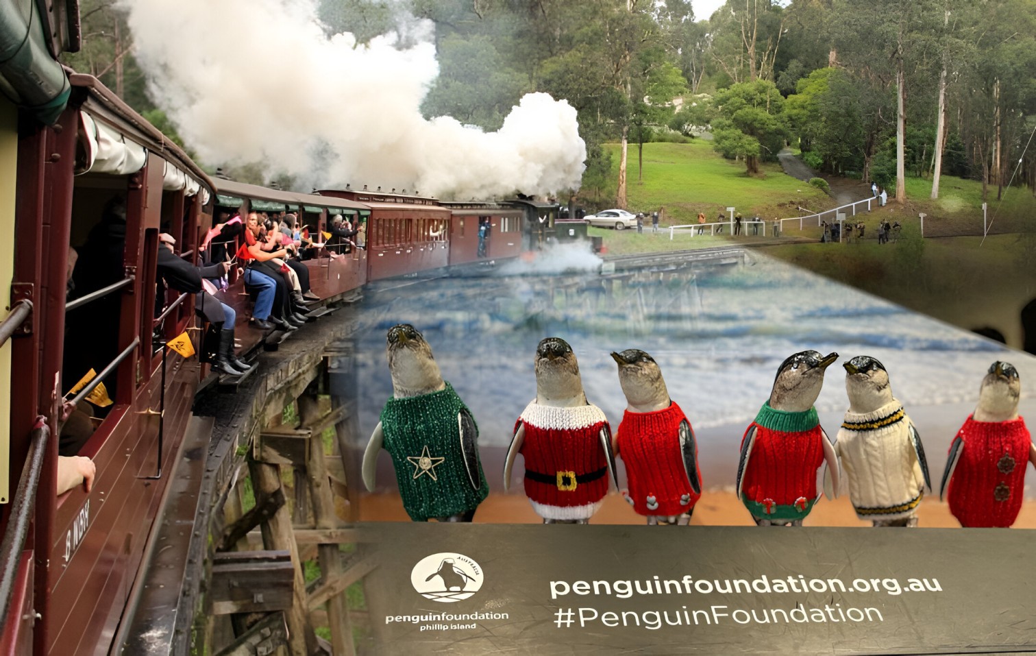 墨尔本帕芬比利蒸汽火车和菲利普岛私人旅游