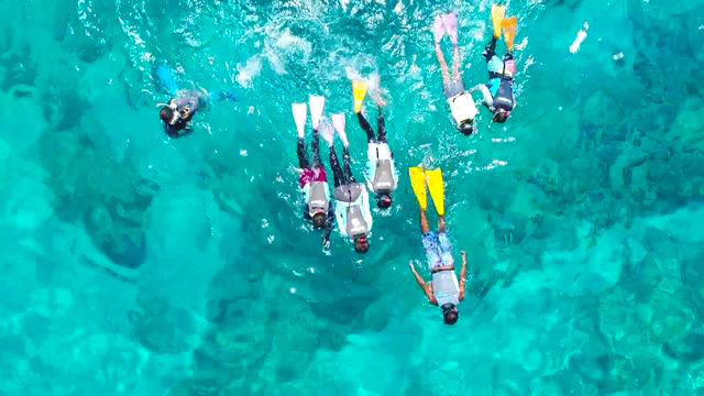 冲绳: 庆良间诸岛半日浮潜 (那霸出发/6岁可参加/1人成行/指定地点免费接送)