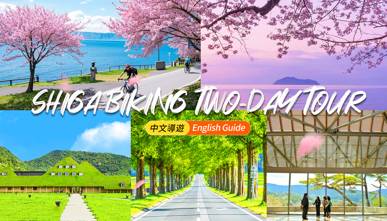 滋贺琵琶湖自行车骑行&美秀美术馆&La Collina&近江八幡二日游（大阪/京都出发）