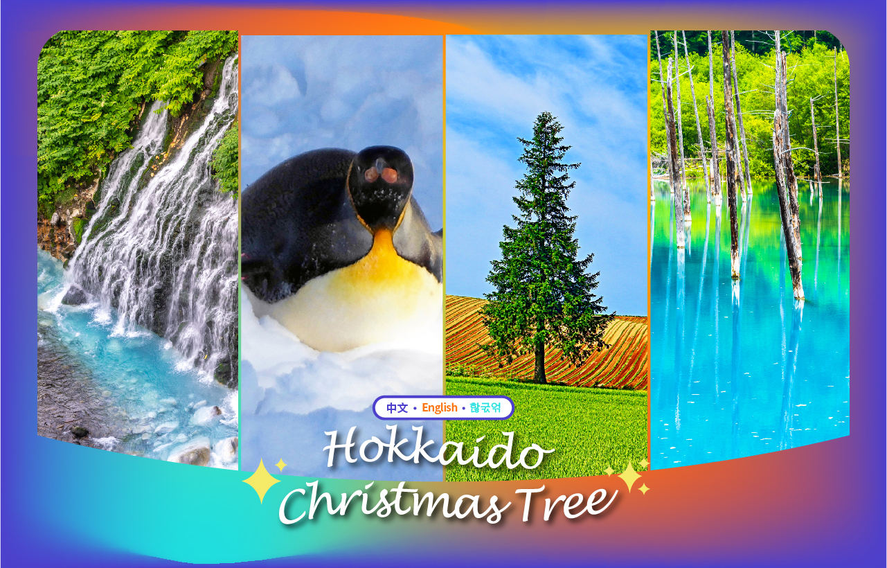 【北海道梦幻冬景巡礼】旭山动物园&网红圣诞树&青池&白须瀑布一日游（札幌出发）