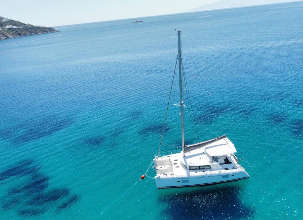 雅典里维埃拉双体船之旅，含新鲜餐食和饮品