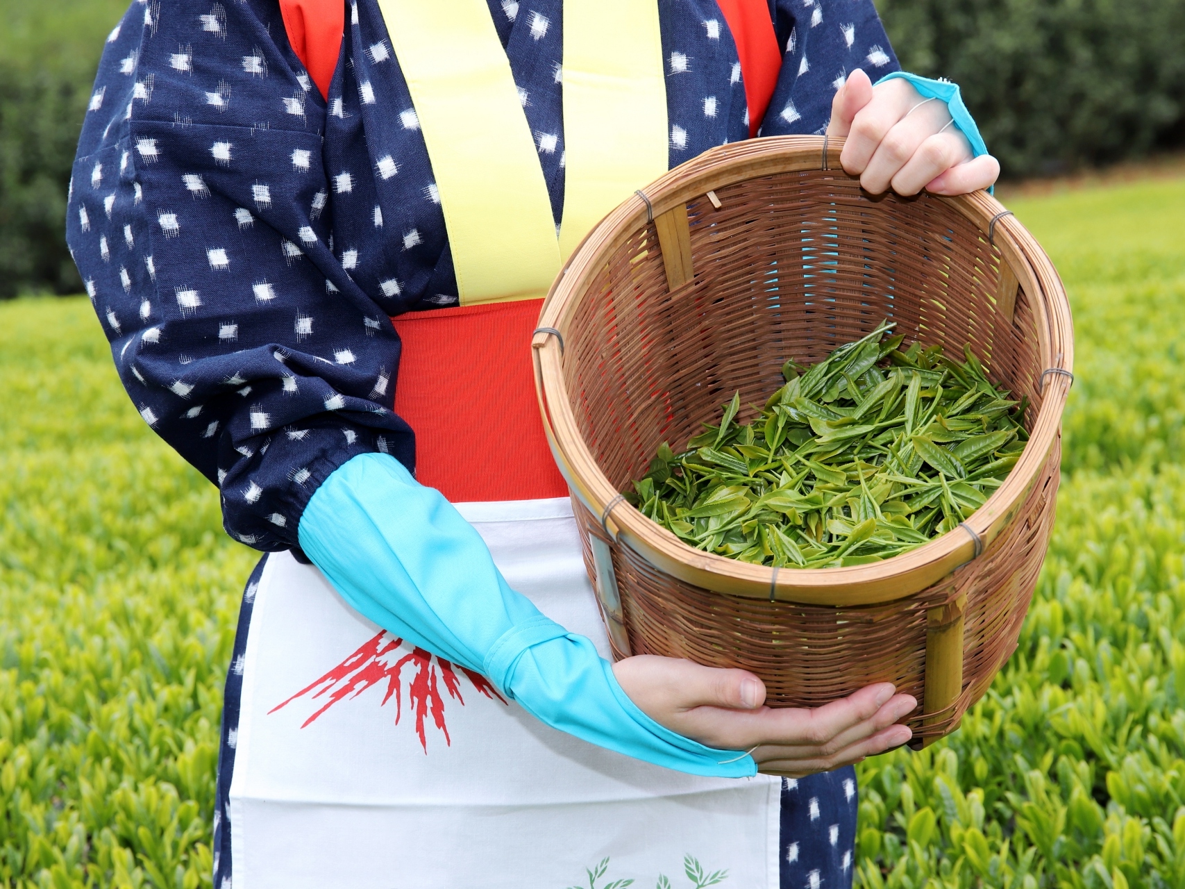 从名古屋出发：西尾抹茶、甜点和传统之旅