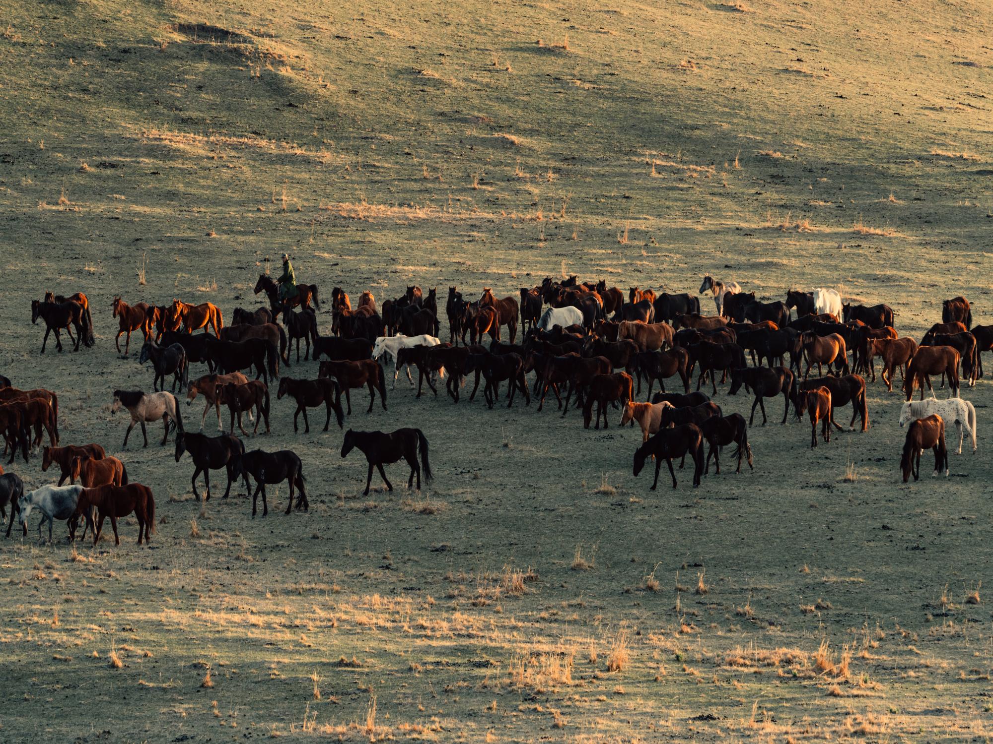 甘肃河西走廊高奢5日游（山丹军马场骑马+鸣沙山妆造+硬派越野古丝绸之路探索/敦煌西线一日游+雅丹落日+七彩丹霞+莫高窟）