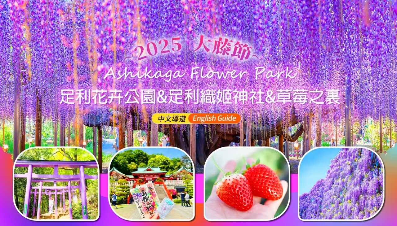 枥木紫藤花大藤节 & 足利织姬神社七色鸟居 & 草莓之里一日游 (东京出发)