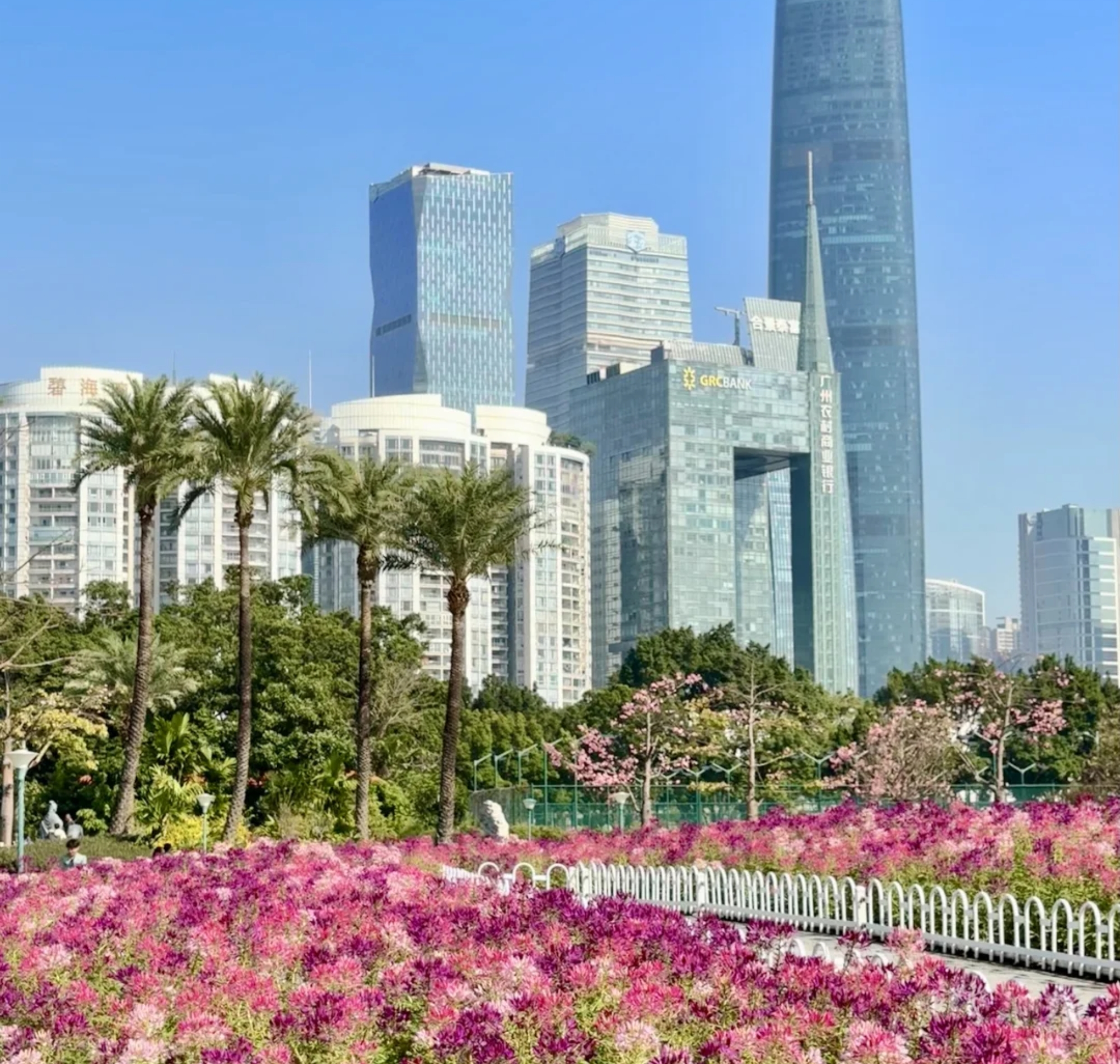 广州珠海中山深圳5日游（港珠澳游船+地王大厦览全城+孙中山故居）